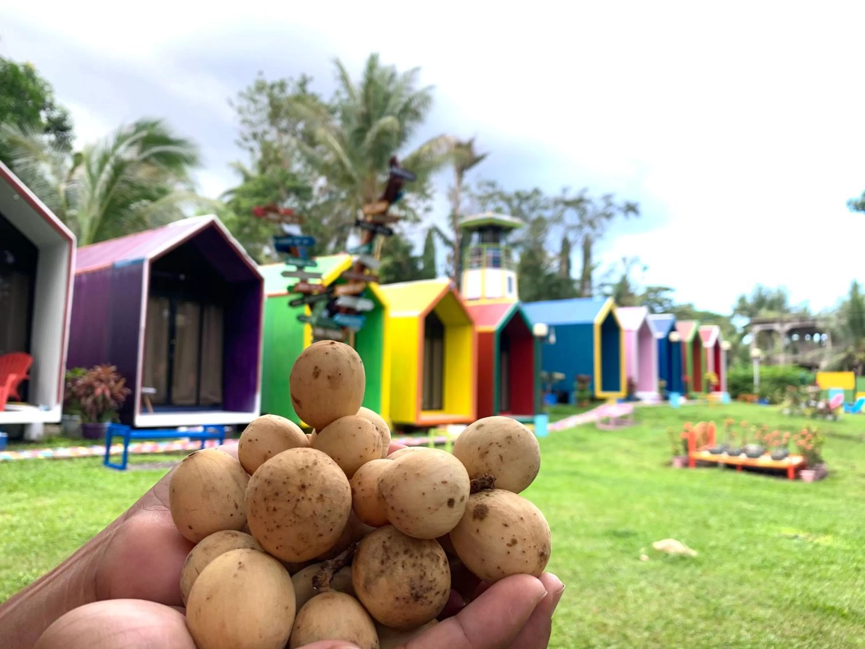 Food and drinks in Lanzones Cabana