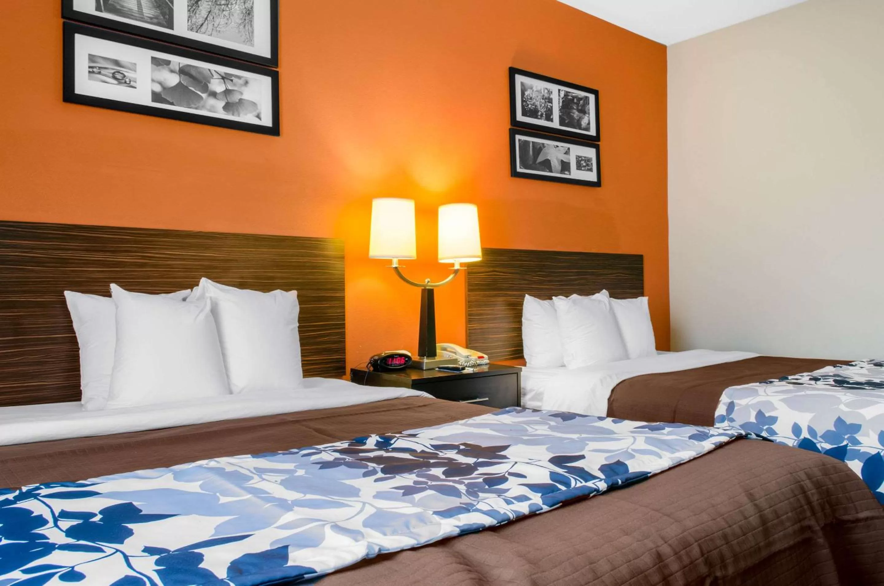 Photo of the whole room, Bed in Sleep Inn & Suites East Chase