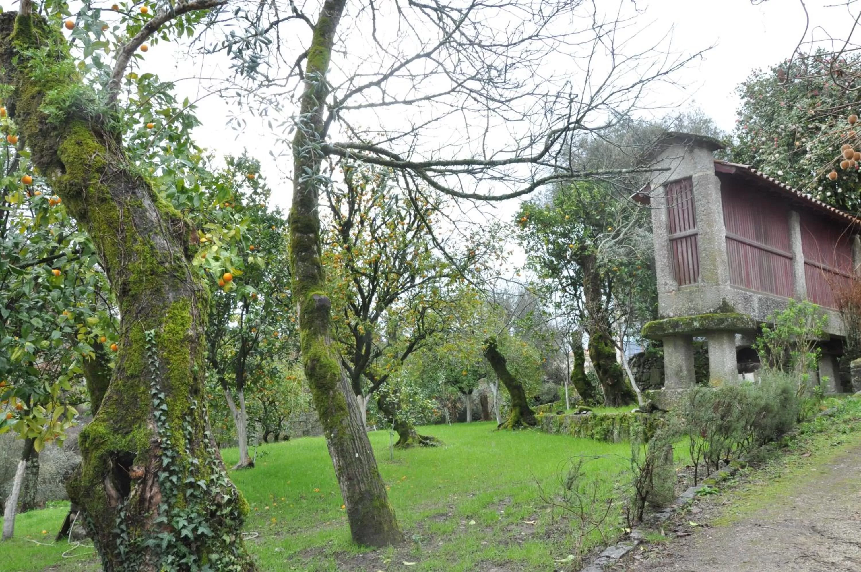 Hotel Rural de Charme Maria da Fonte