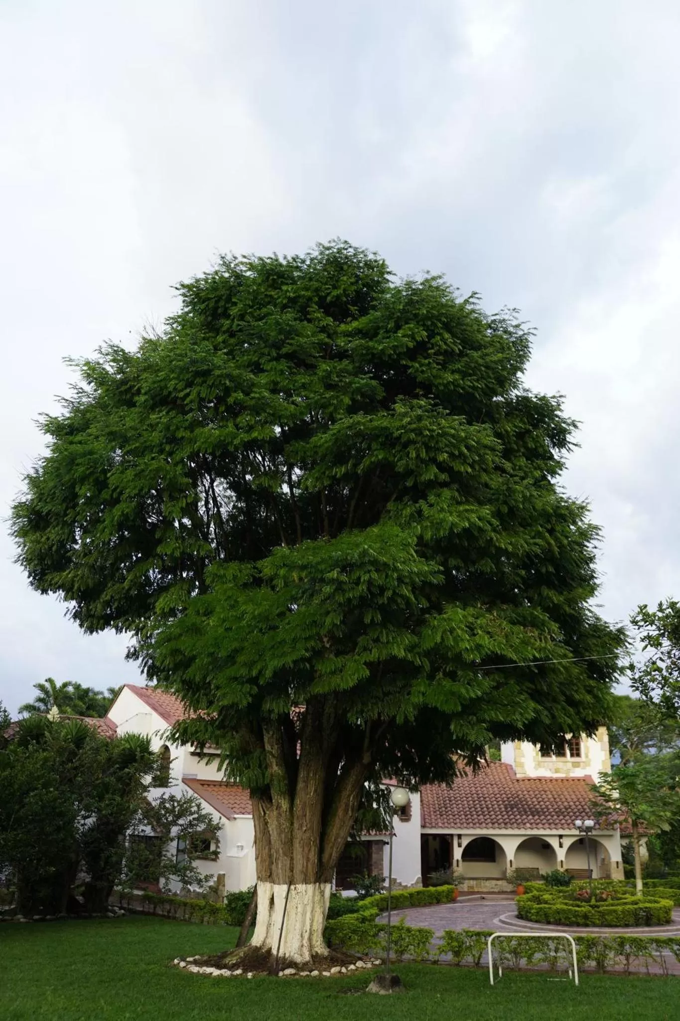 Garden, Property Building in Hotel Chalet El Castillo by Majuva