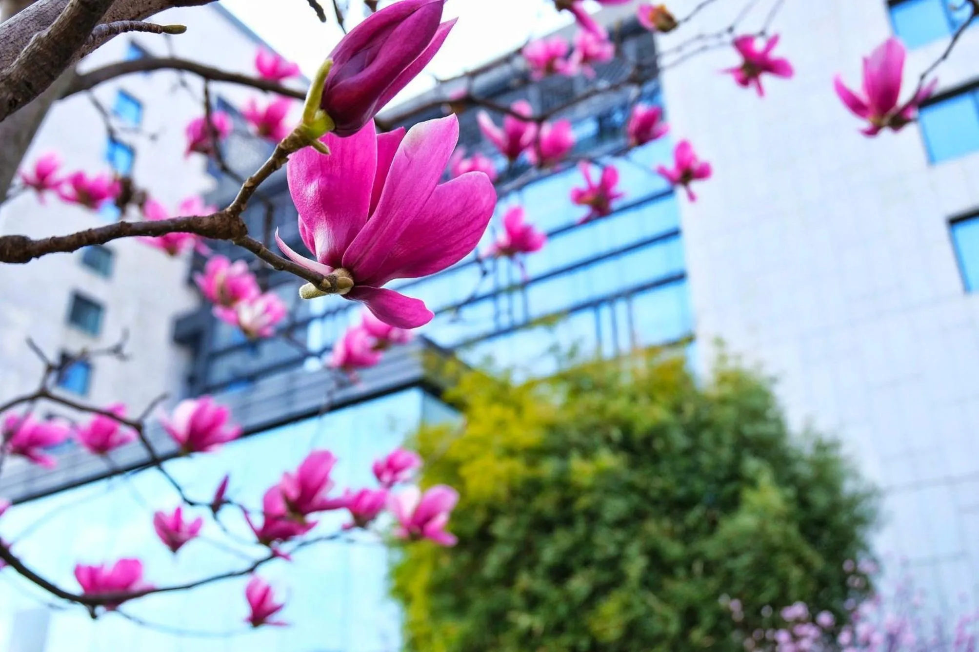 Property building in Crowne Plaza Huangshan Yucheng by IHG