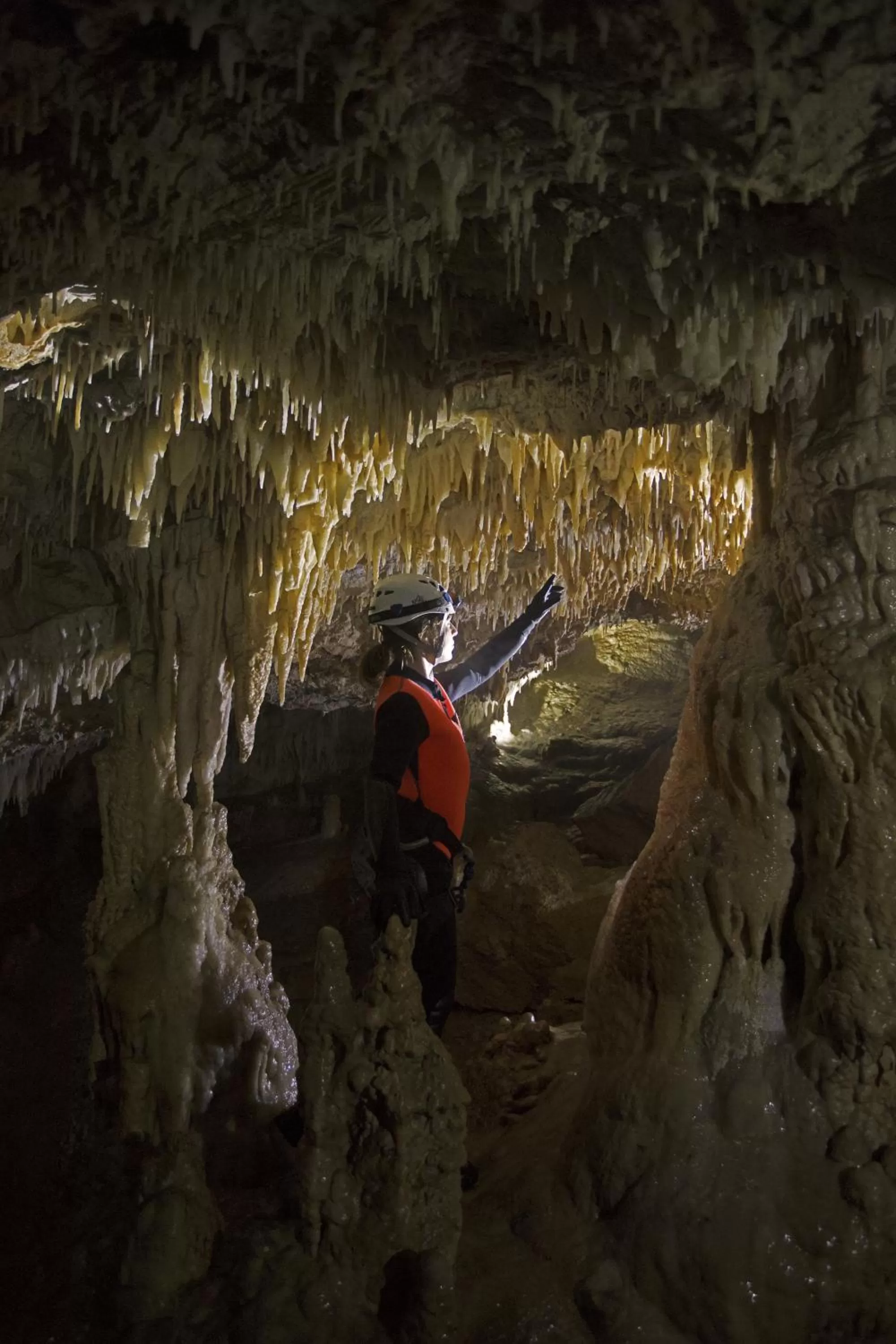 Hiking in Villa Belvedere