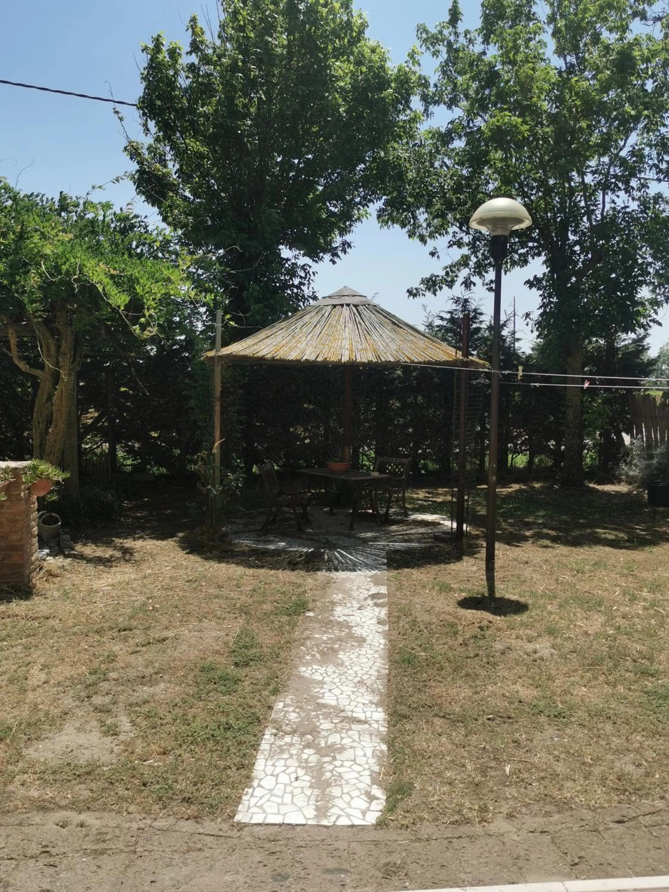 Day, Garden in FONDO MARSIGLIA 110