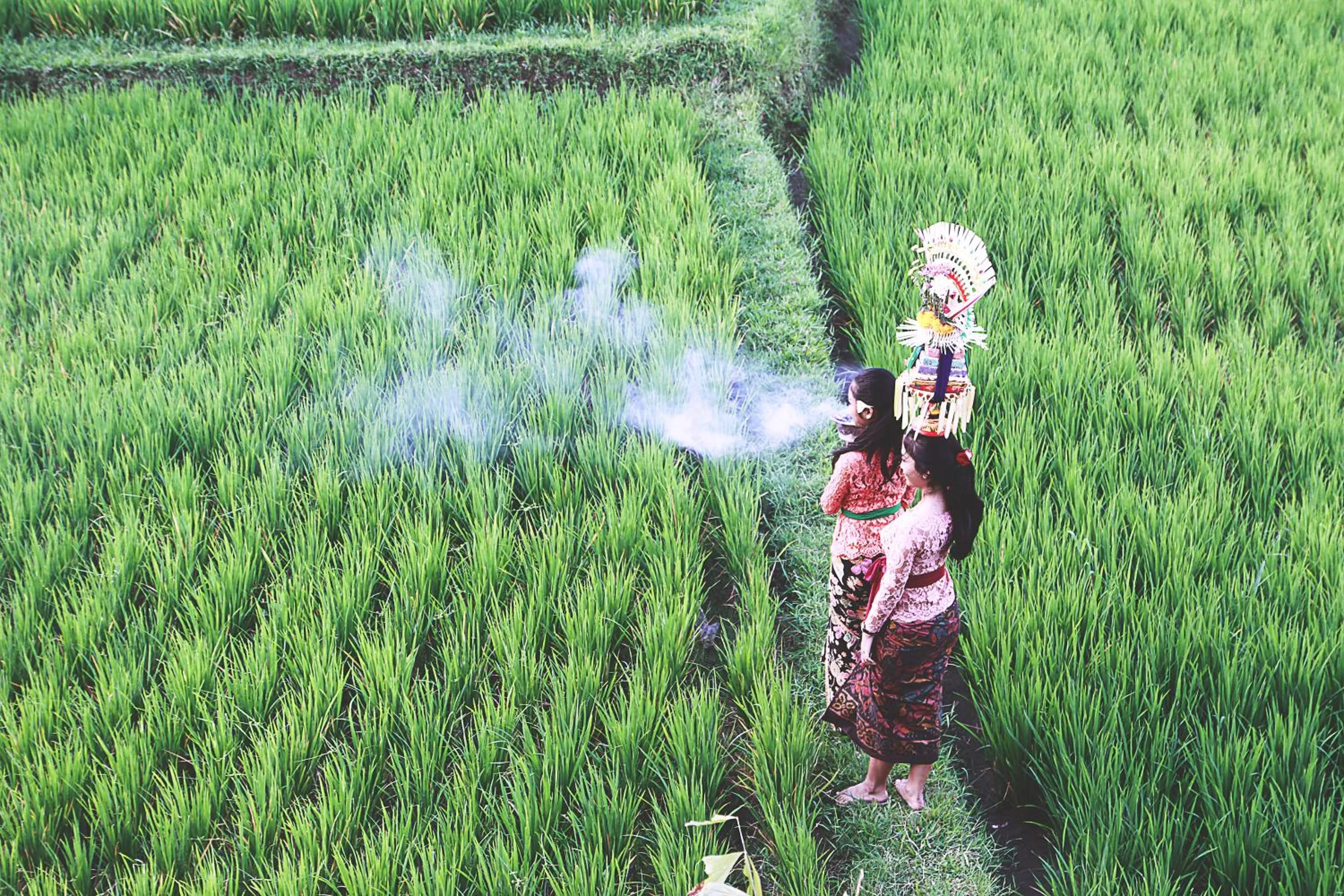 Off site in D'Legon Villas