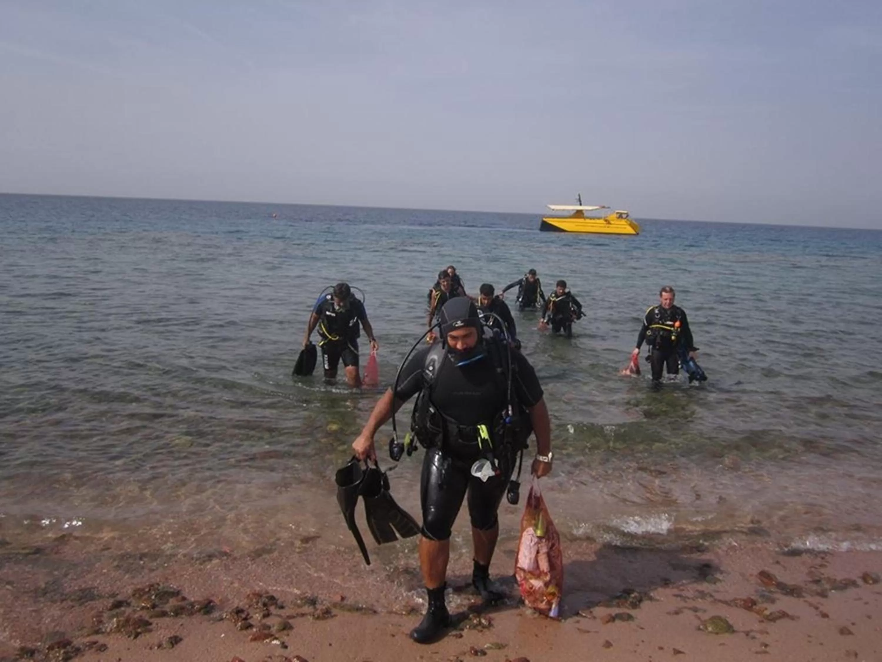 Beach, Horseback Riding in Arab Divers Dive Center and Bed & Breakfast