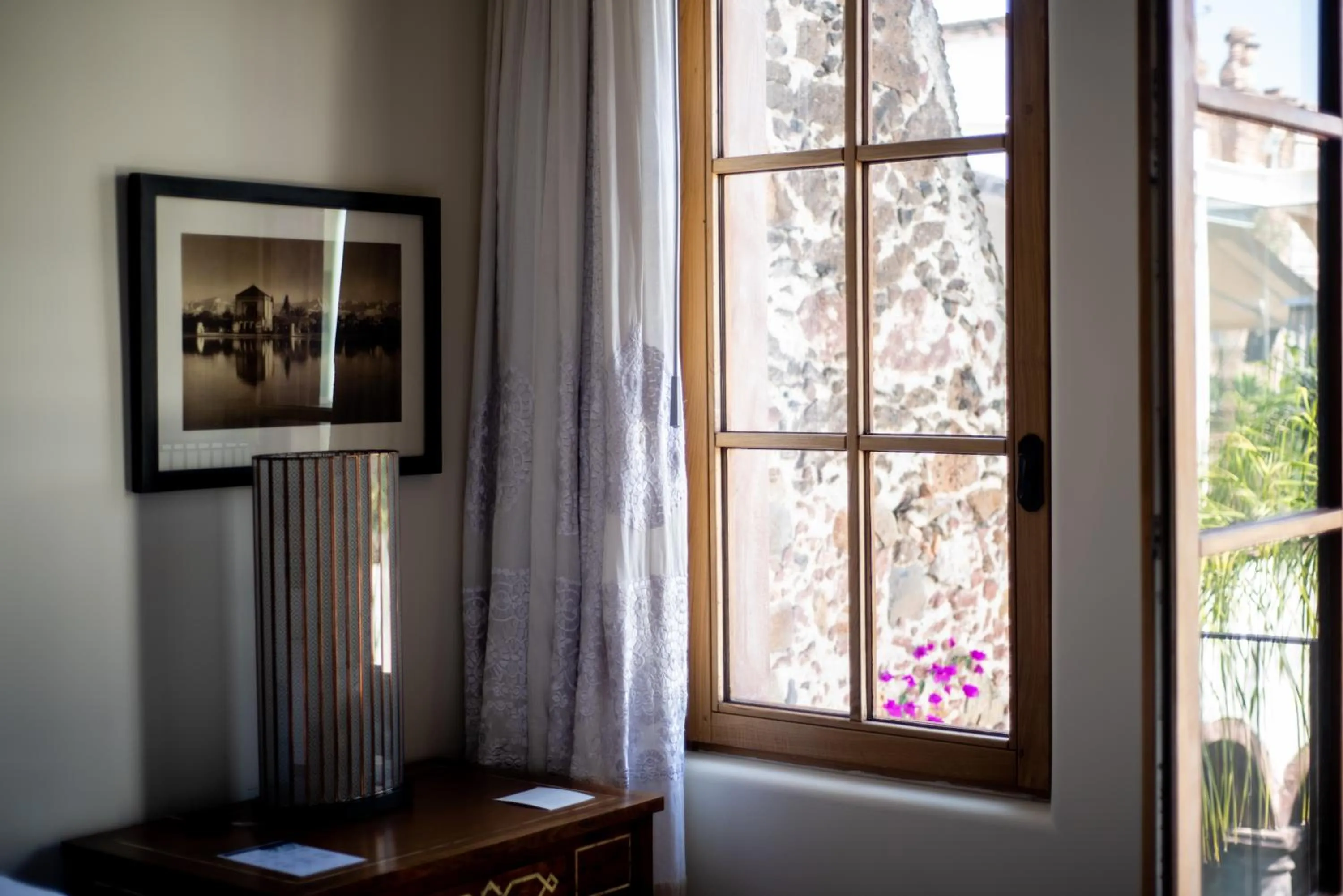 Garden view in Hotel Casa Blanca 7