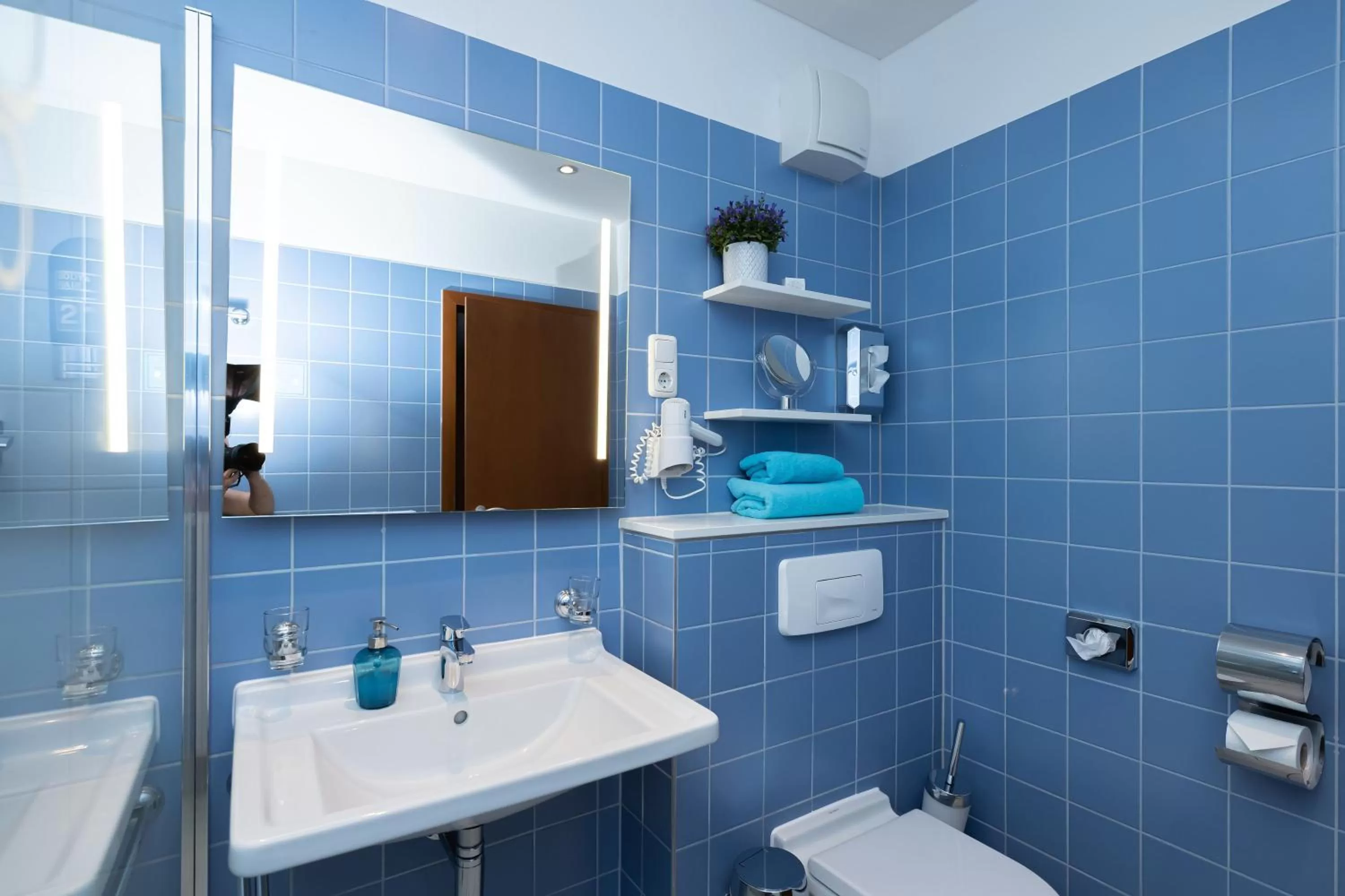 Bathroom in Hotel Moritz an der Elbe