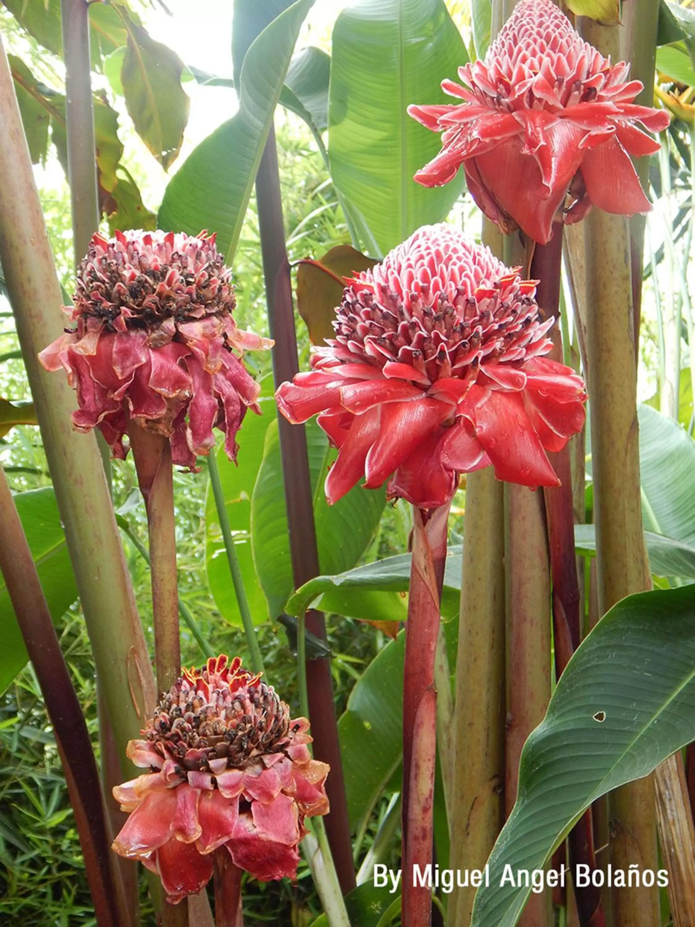 Natural landscape in Eco Lodge La Juanita