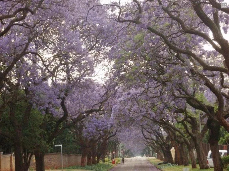 Natural landscape in Goodey's Guesthouse