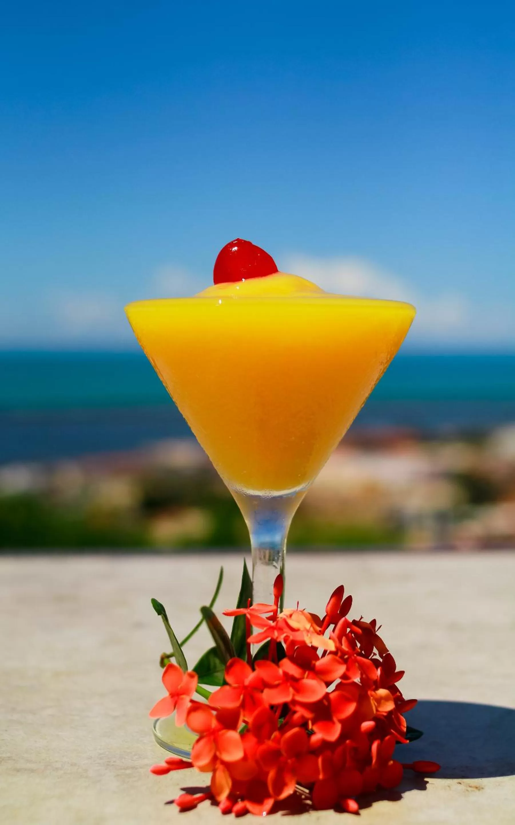 Drinks in Porto Seguro Eco Bahia Hotel