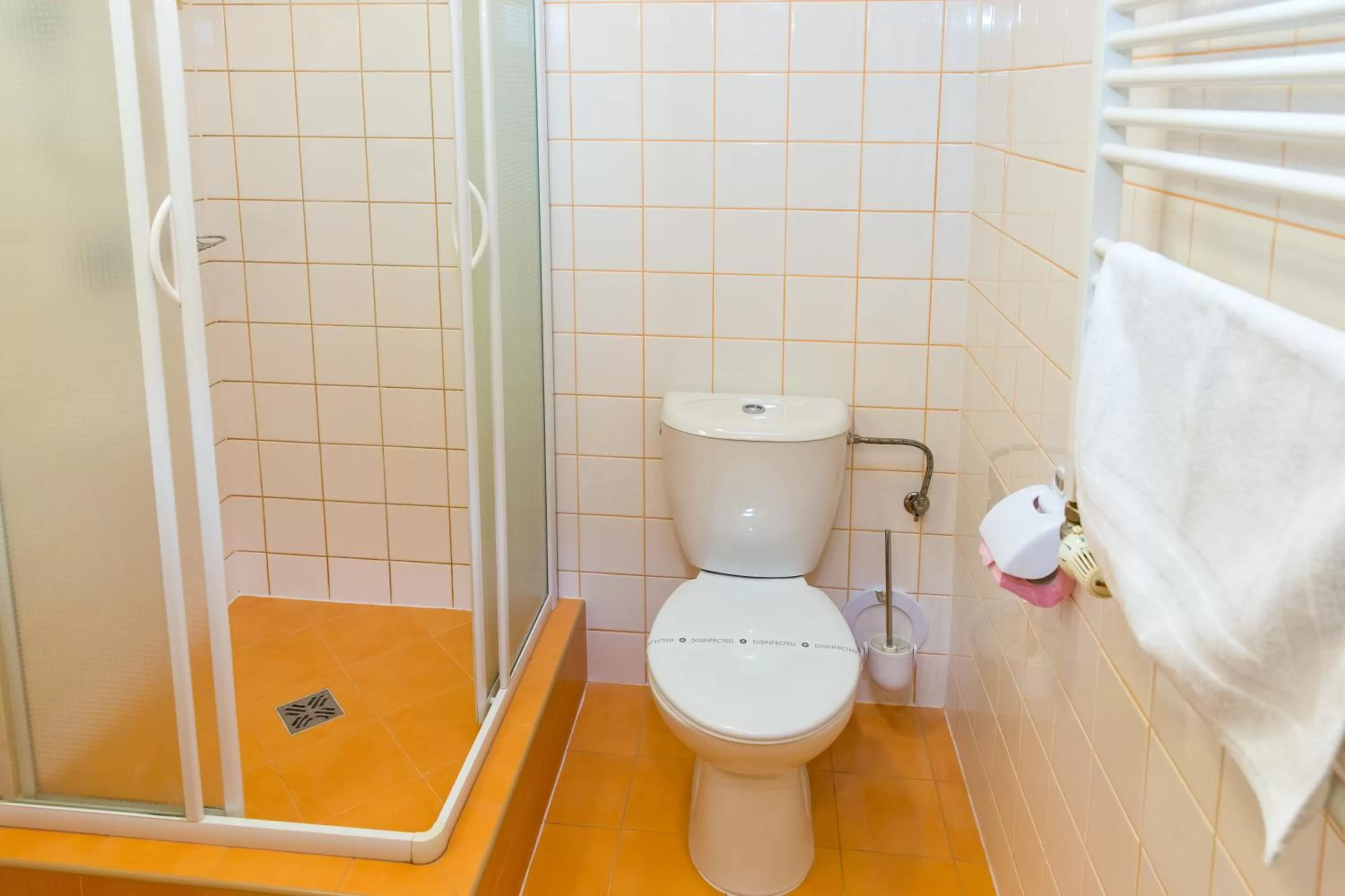 Shower in Hotel Rieger Garni