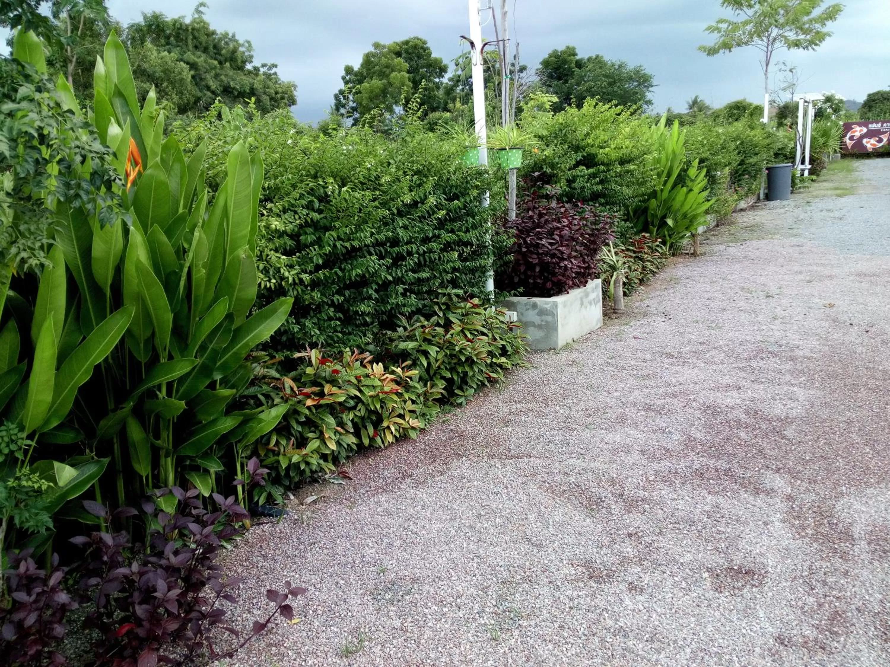 On site, Garden in Fancy Carp Resort