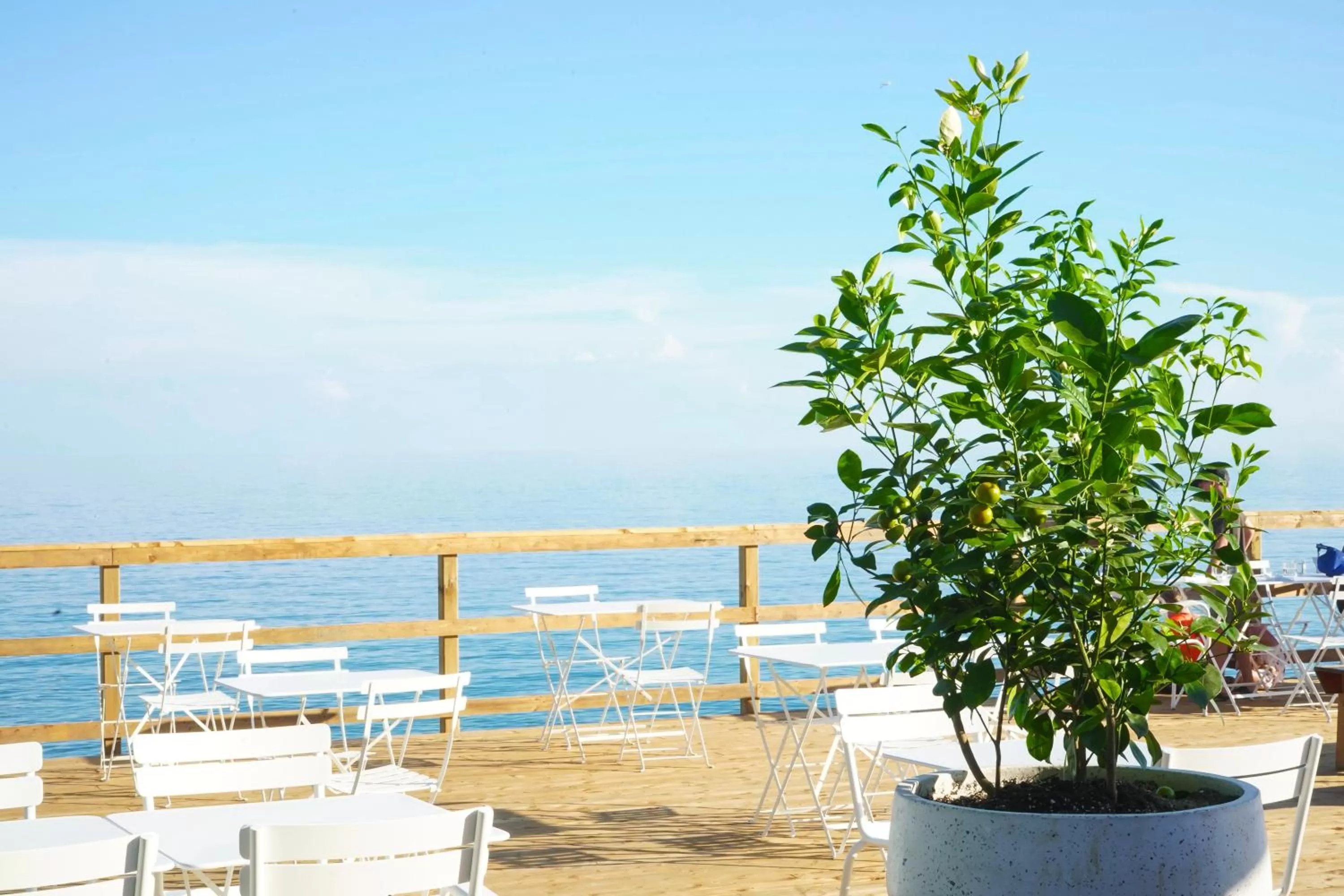 Restaurant/places to eat in The Lakeside Prince Edward County