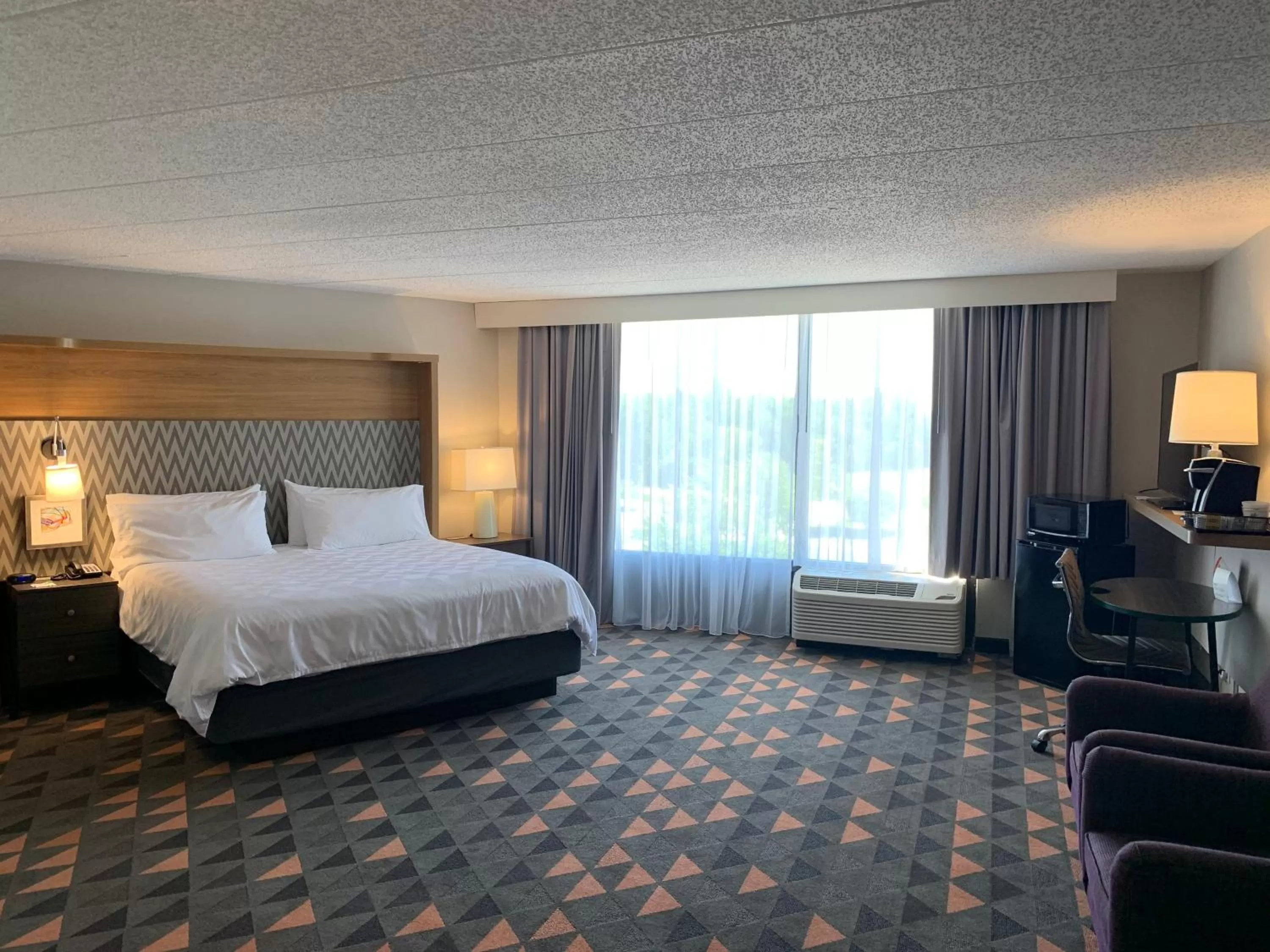 Photo of the whole room, Bed in Holiday Inn Chicago Nw Crystal Lk Conv Ctr by IHG