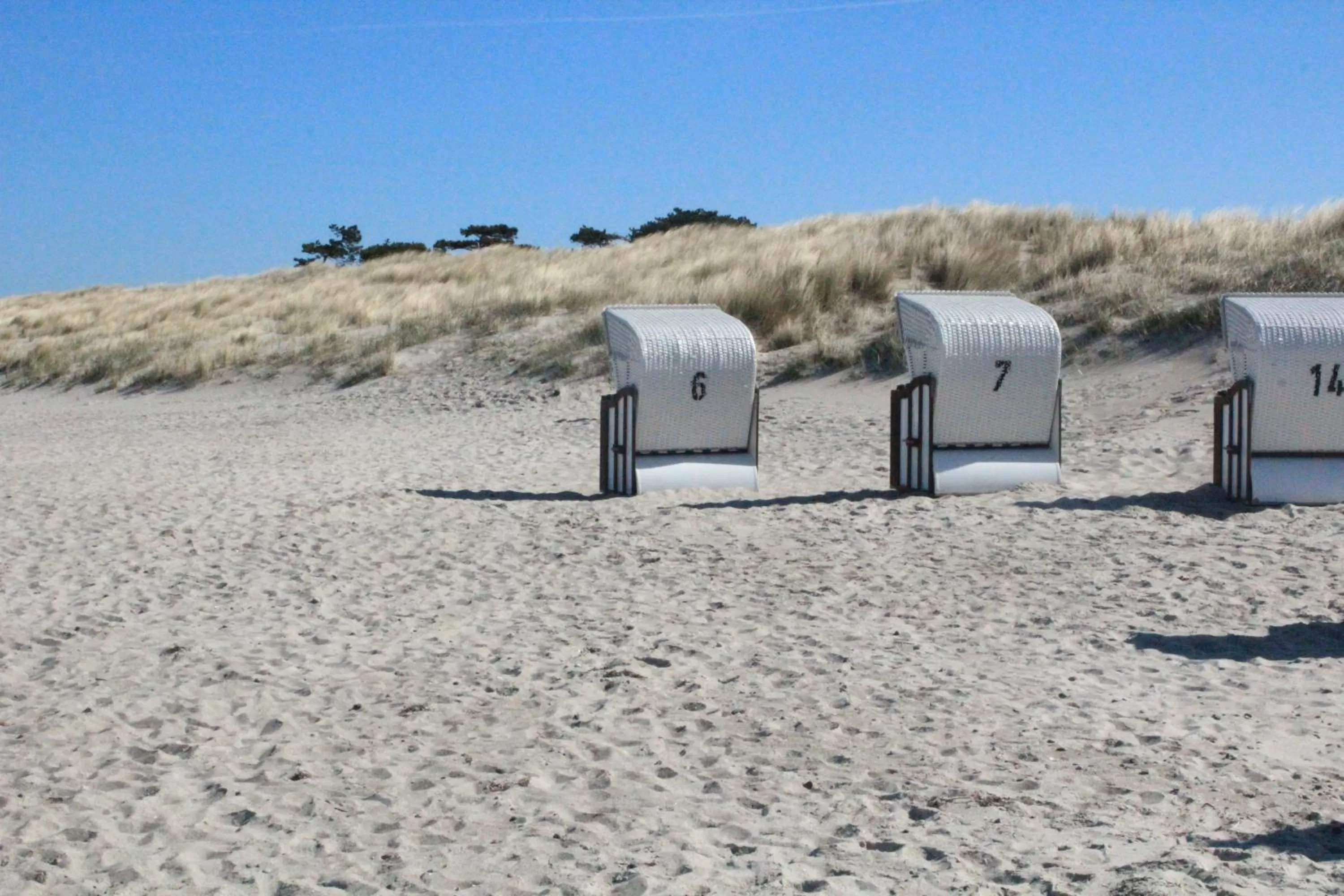 Beach in Ostseehotel Dierhagen