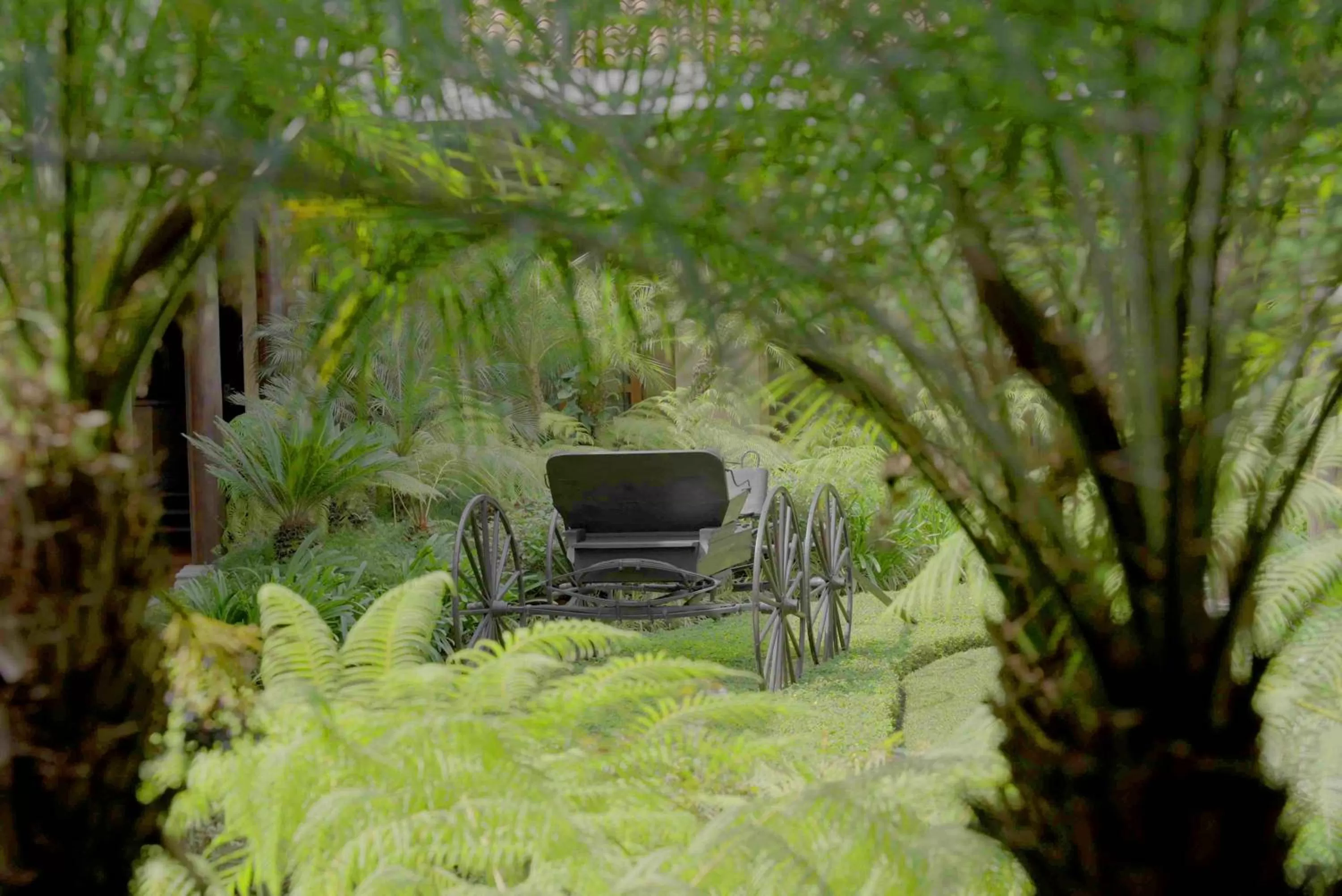 Garden in Camino Real Antigua