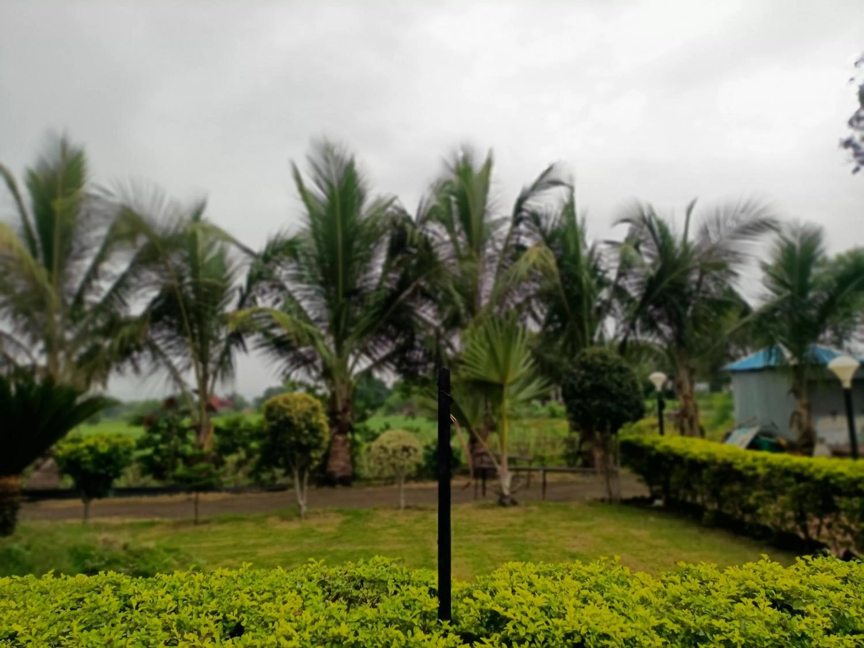 Hotel Nisarg Lodging And Restaurant