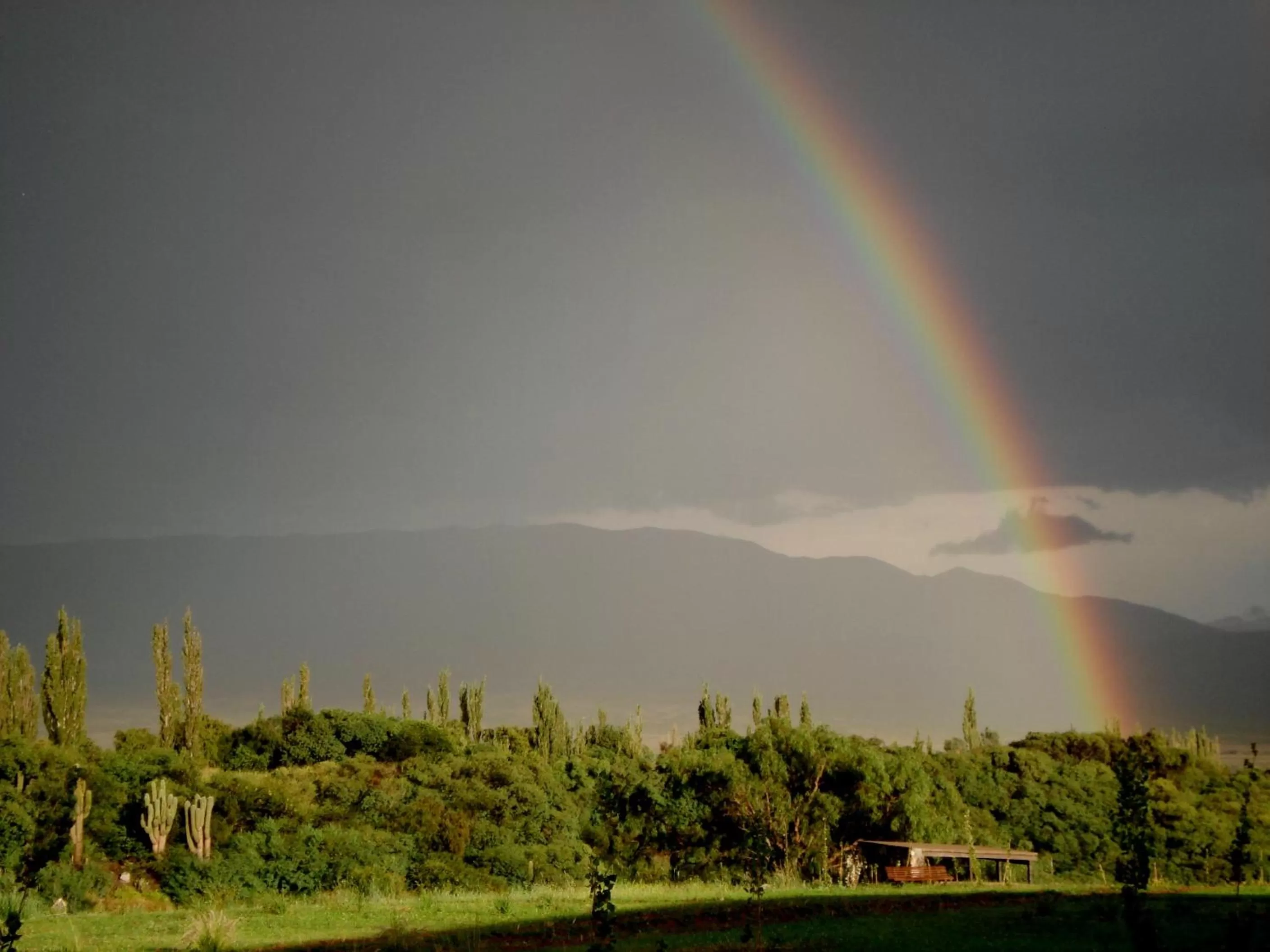 View (from property/room) in La Merced Del Alto