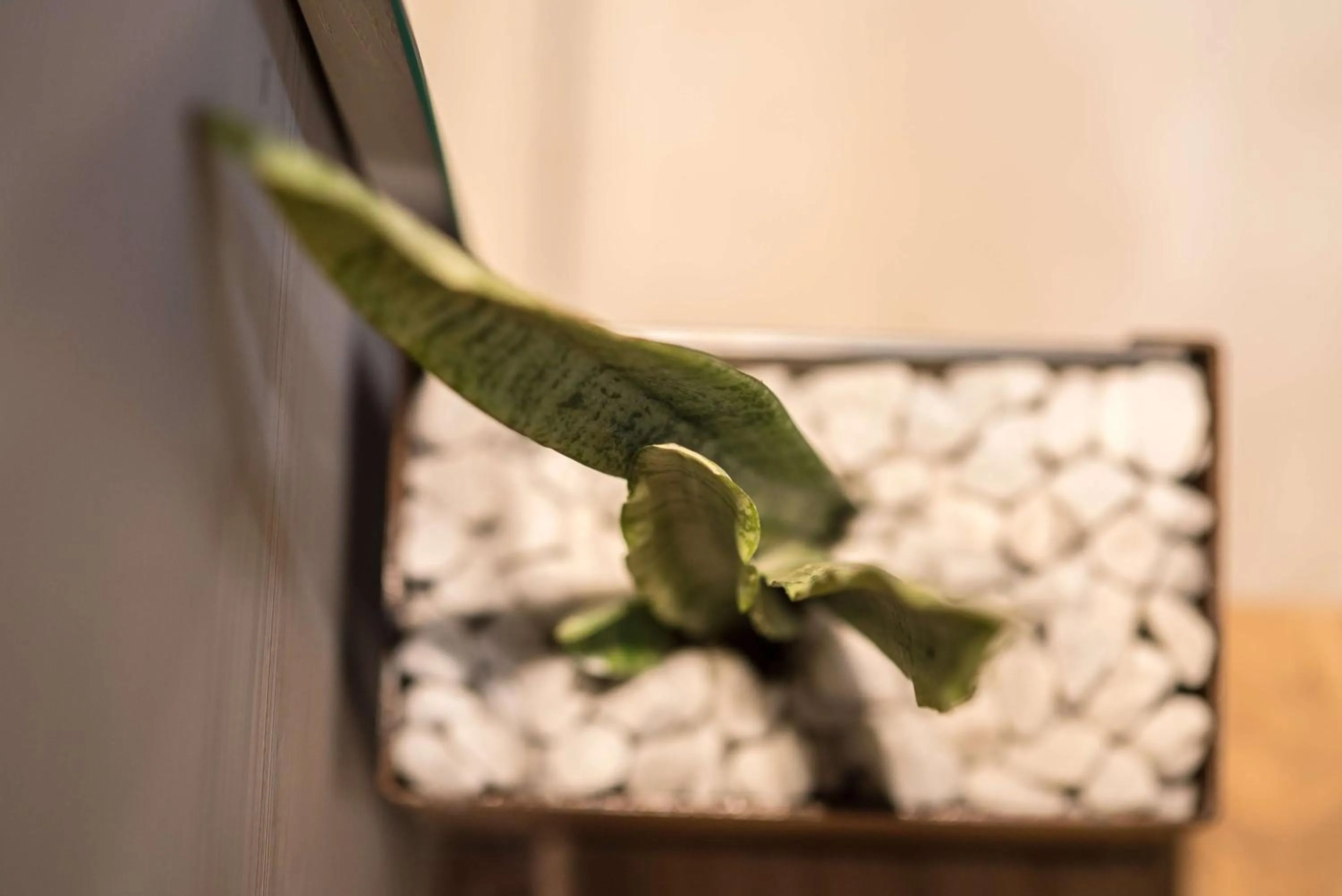 Photo of the whole room in Best Western Plus Hotel Terre di Eolo