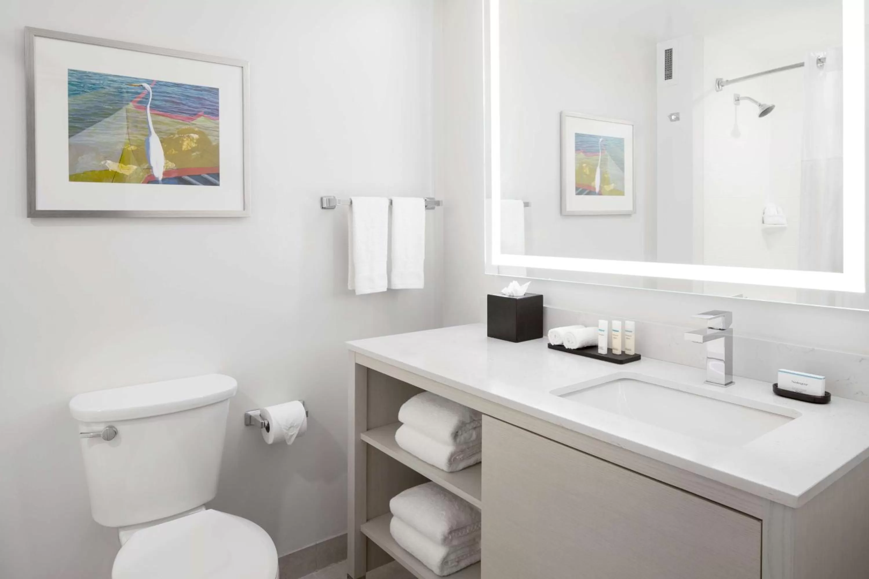 Bathroom in Embassy Suites by Hilton Tampa Airport Westshore