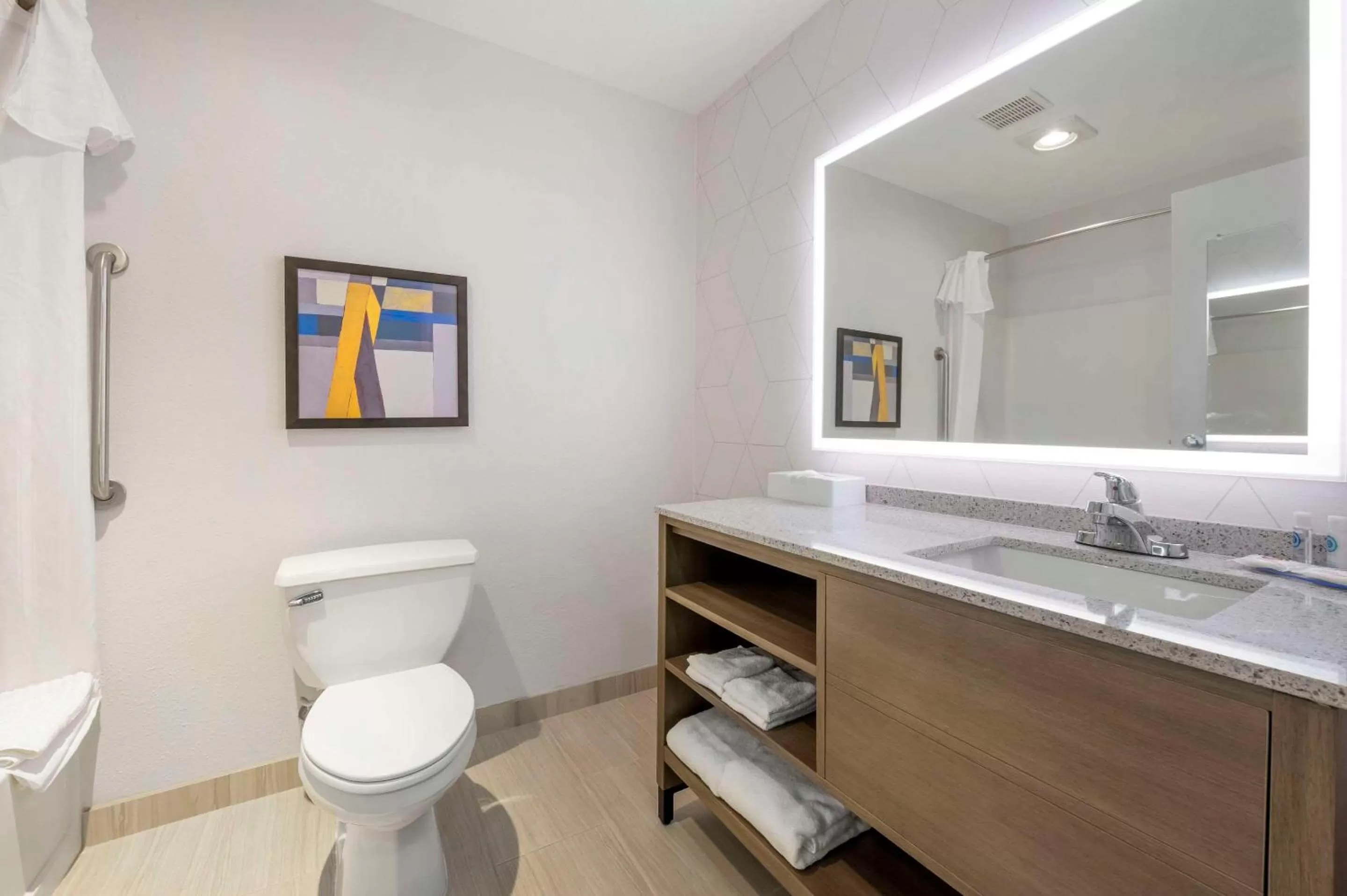 Toilet in Comfort Inn Edinburgh - Columbus