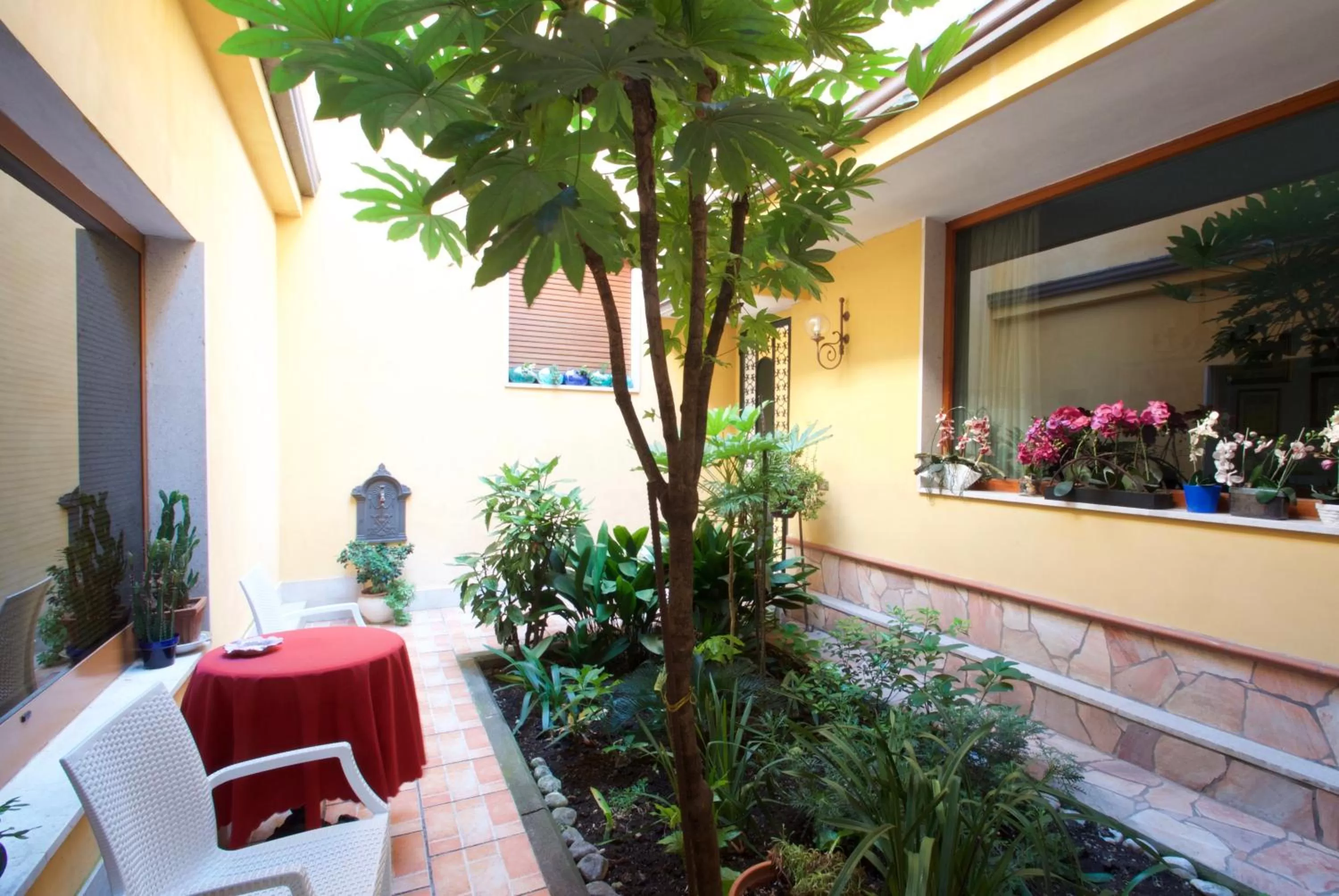 Garden view in La Magnolia B&B