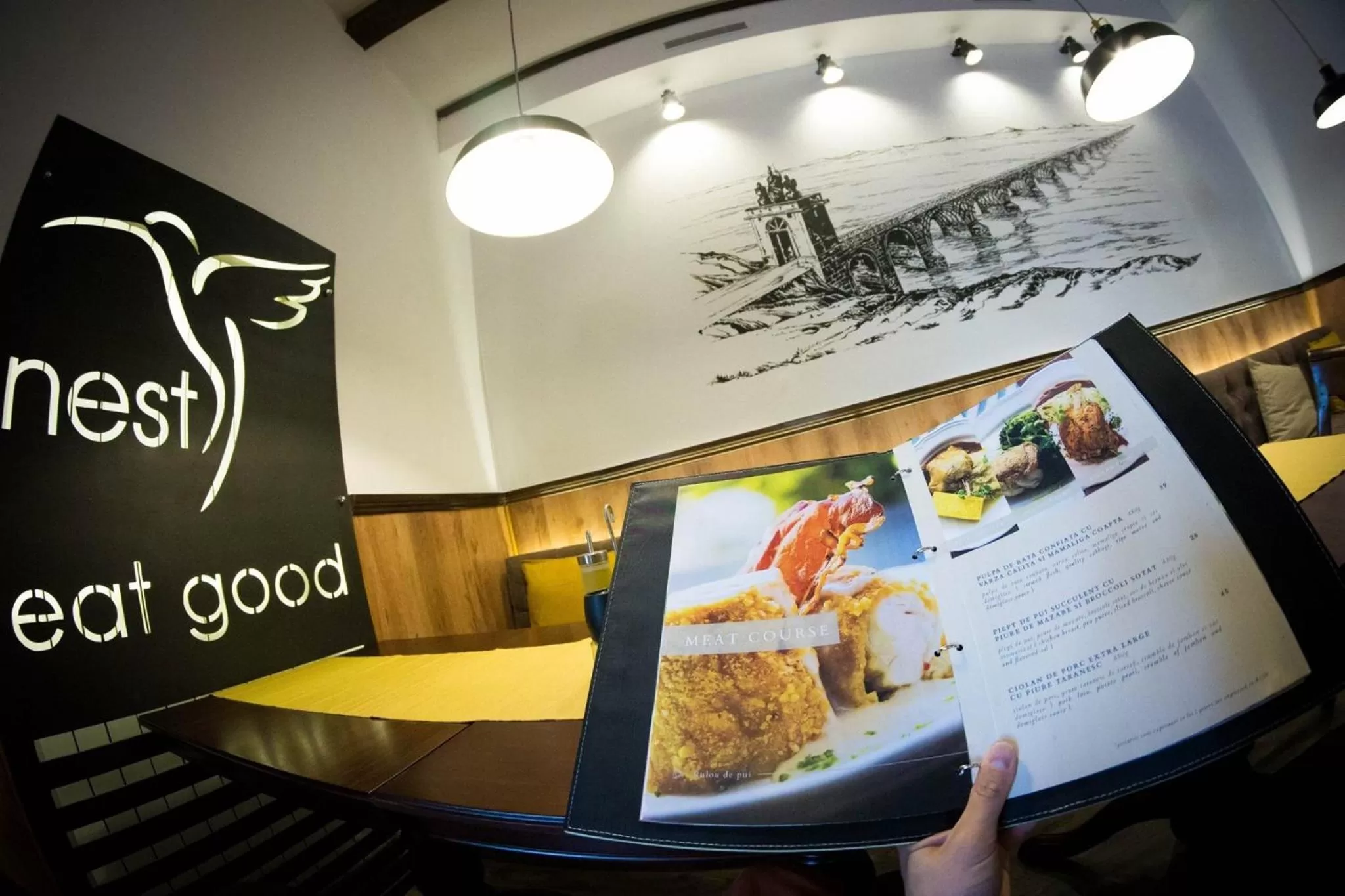 Logo/Certificate/Sign in Nest