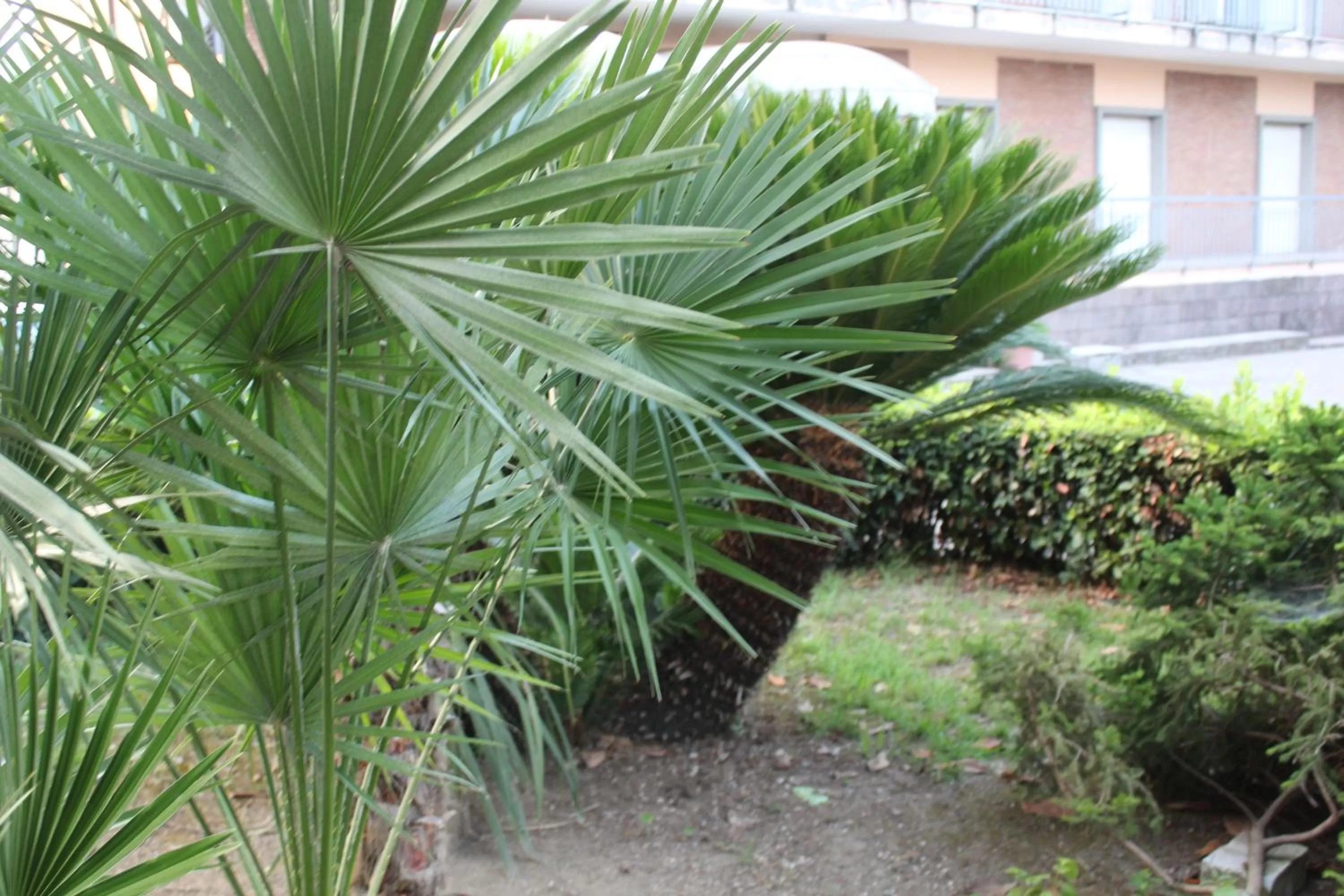 Facade/entrance in Hotel Diana