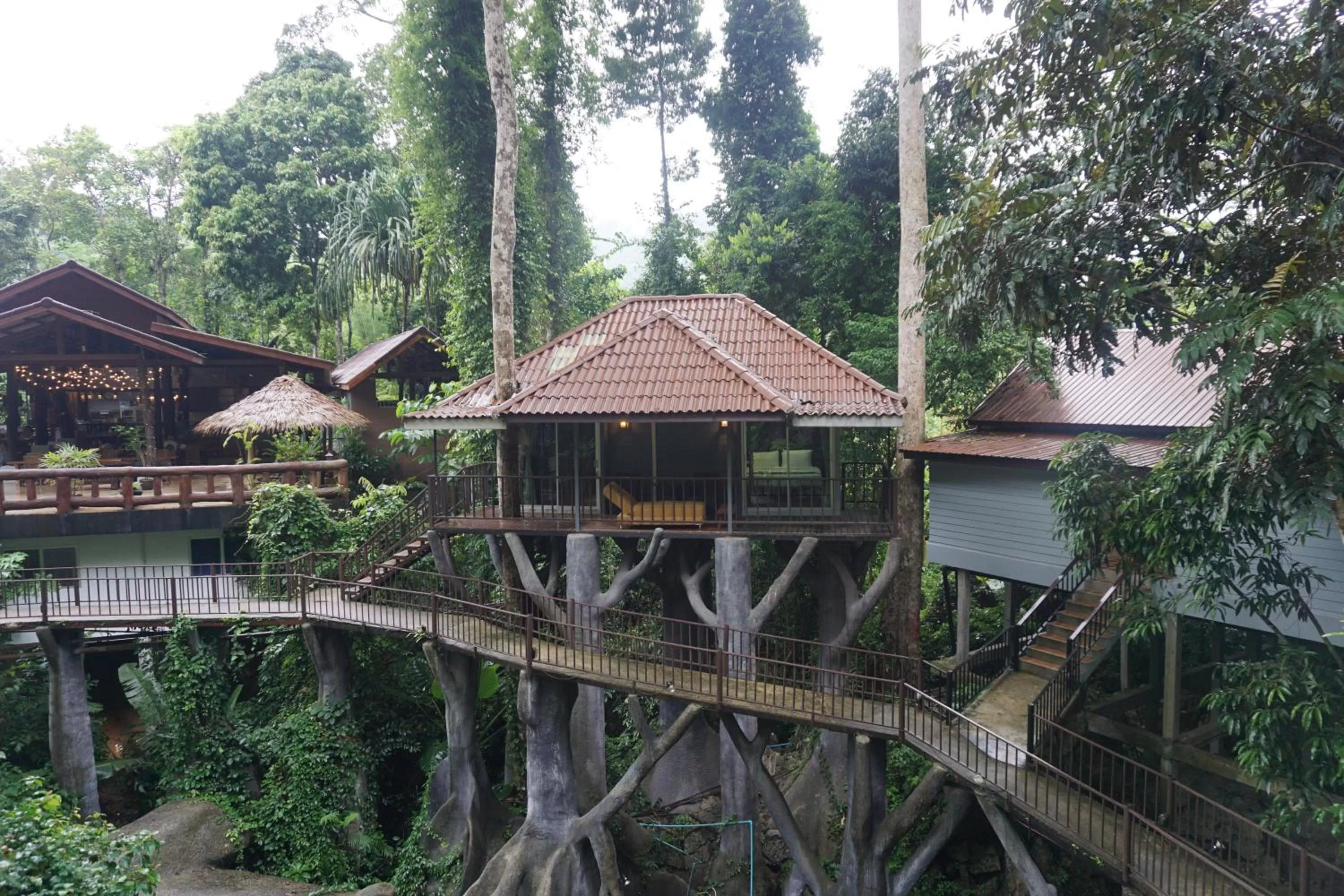 Garden view in Rock and Tree House Resort