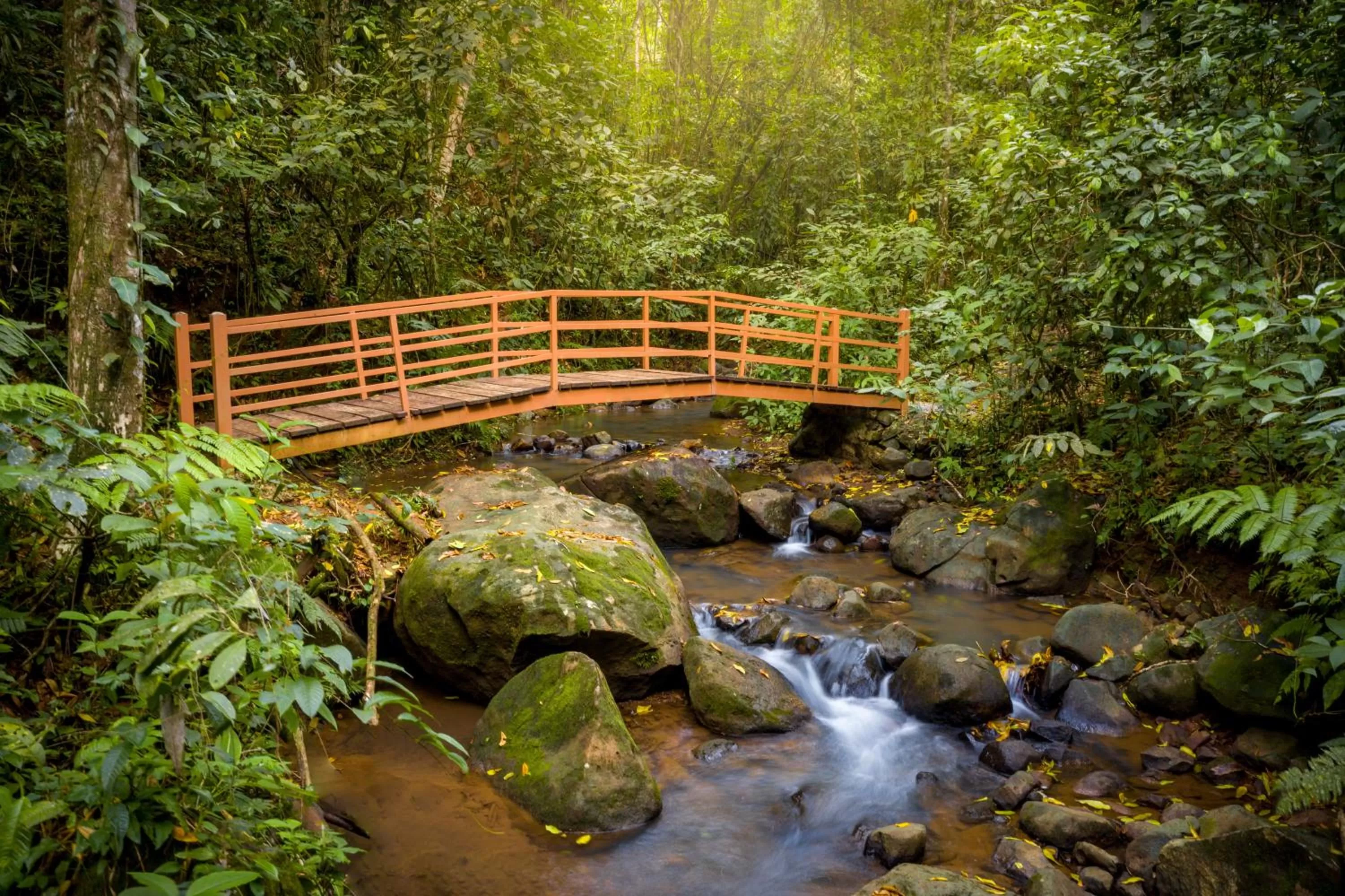 Natural landscape in Hotel Heliconias Nature Inn & Hot Springs