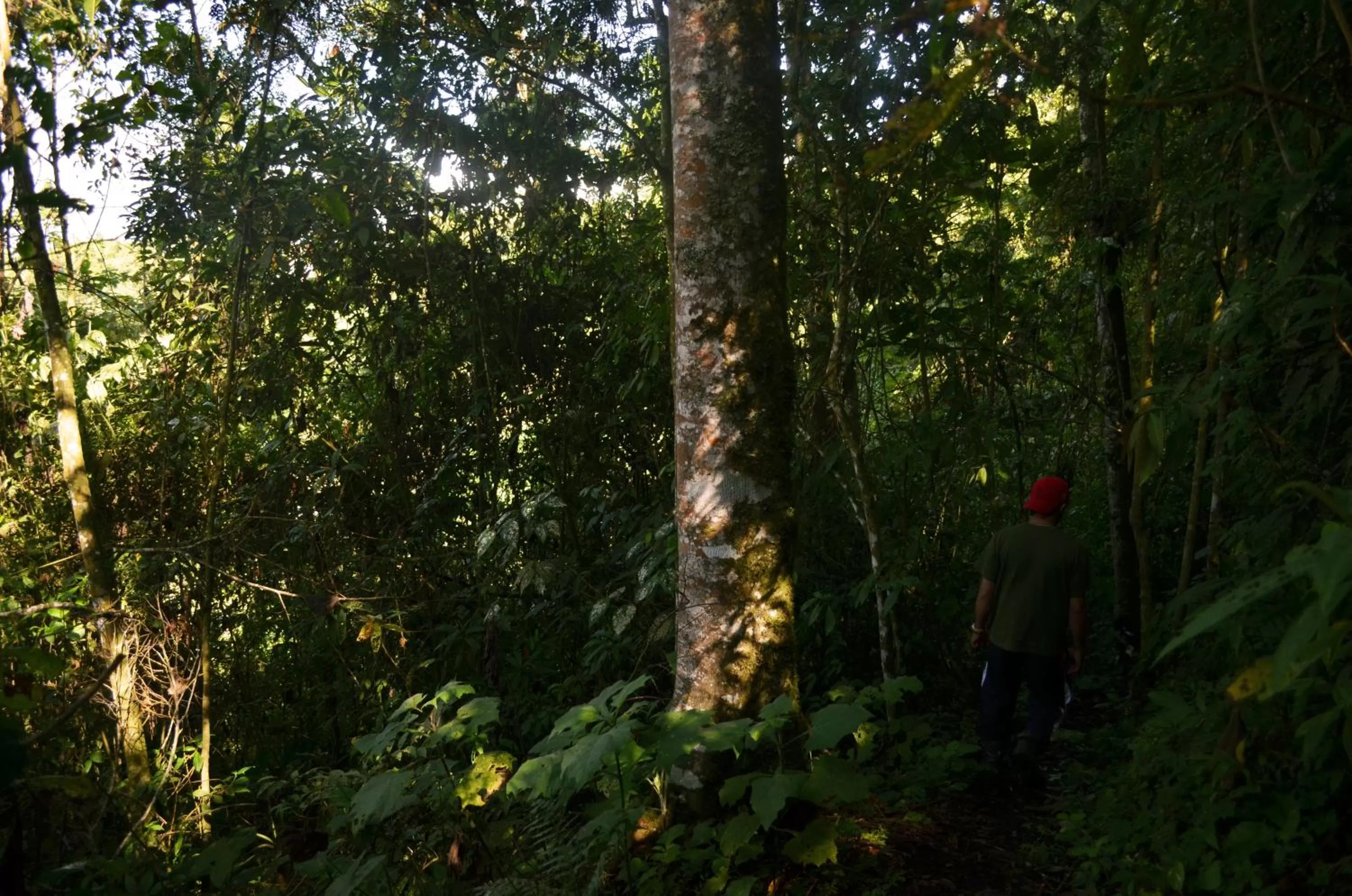 Natural landscape in Eco Lodge La Juanita