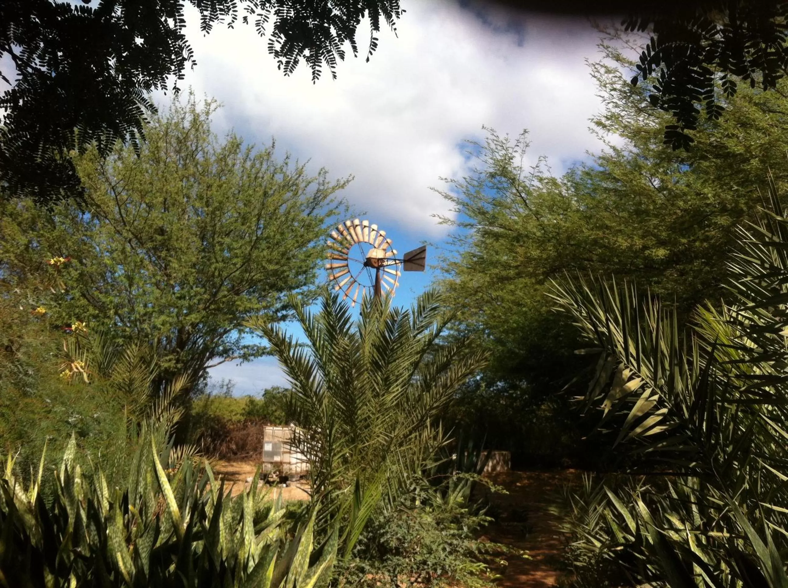 Natural landscape in Villa Morabeza Guest House
