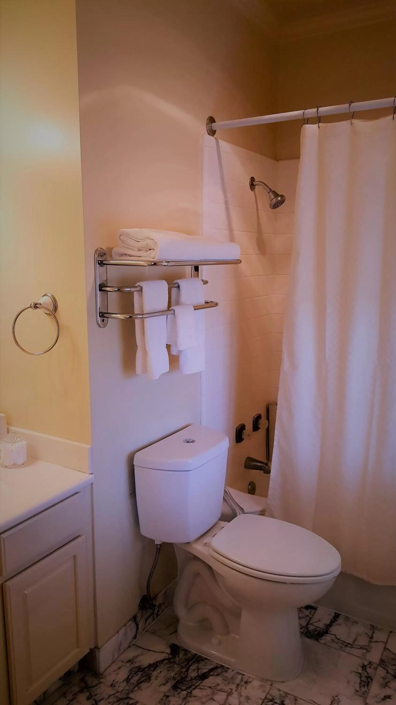 Spring in The Monterey Hotel