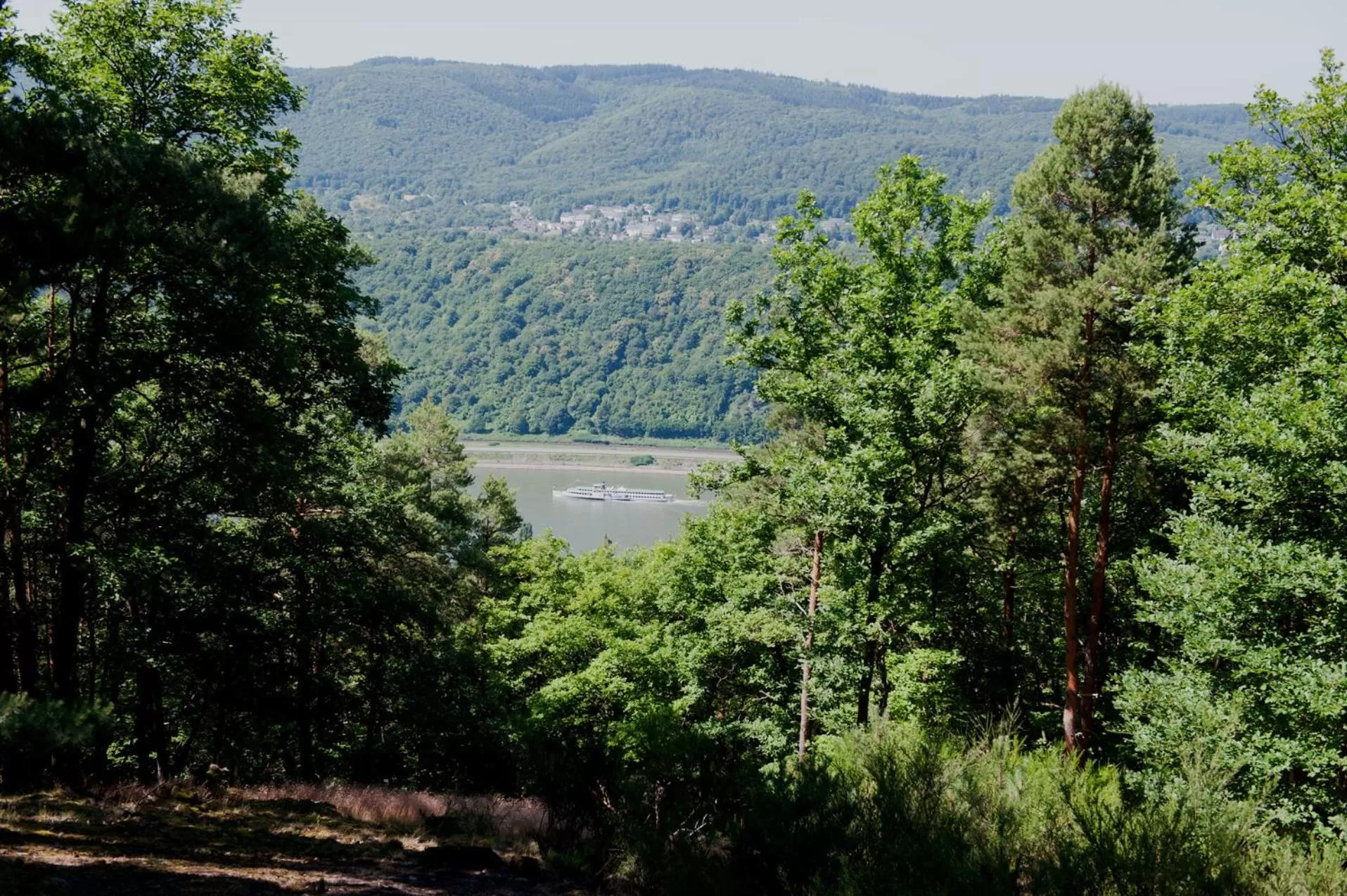 View (from property/room) in Hotel im Rheintal