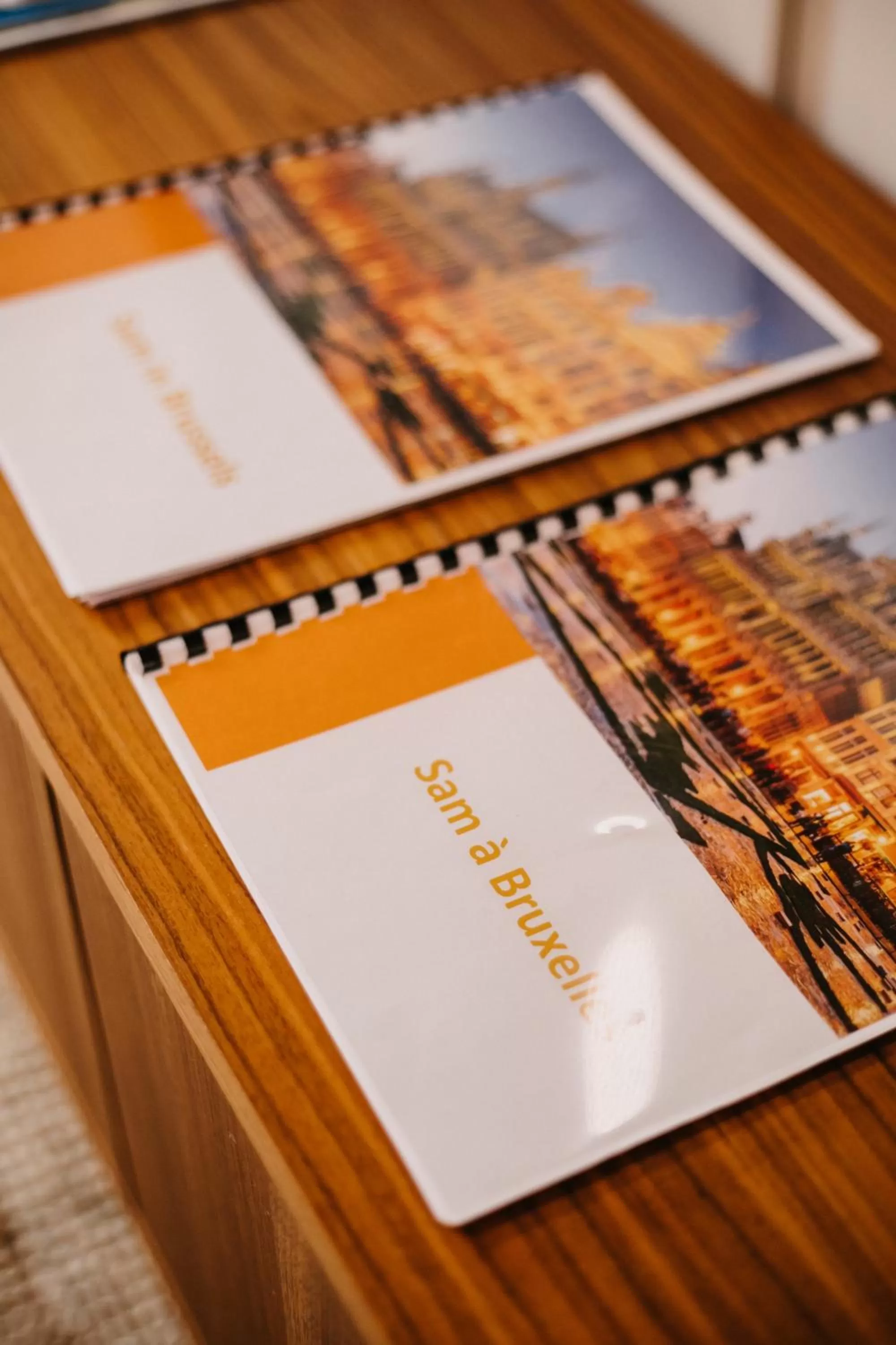 Library in Central and Cozy in Brussels