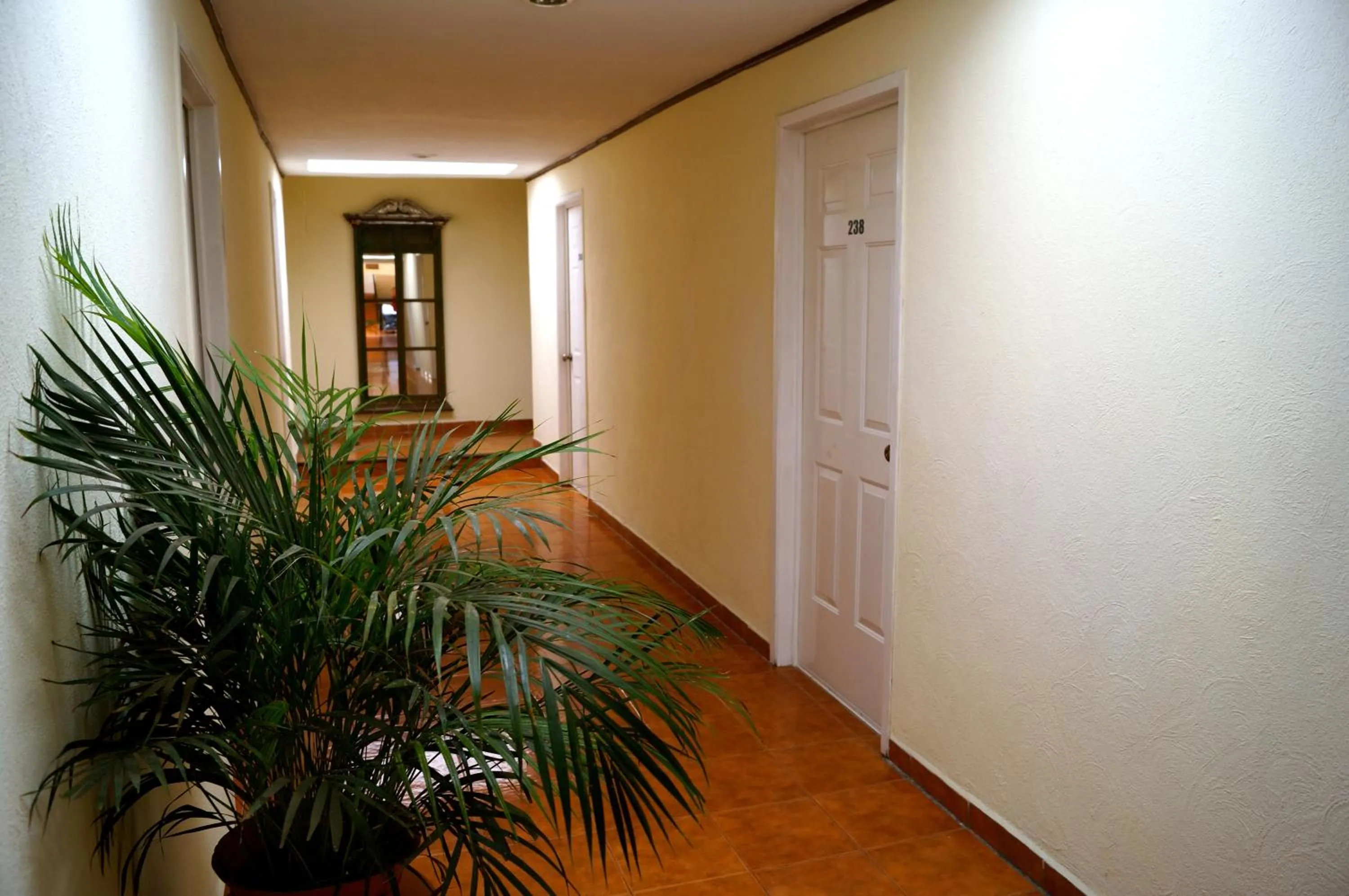 Decorative detail in Hotel & Suites Villa del Sol