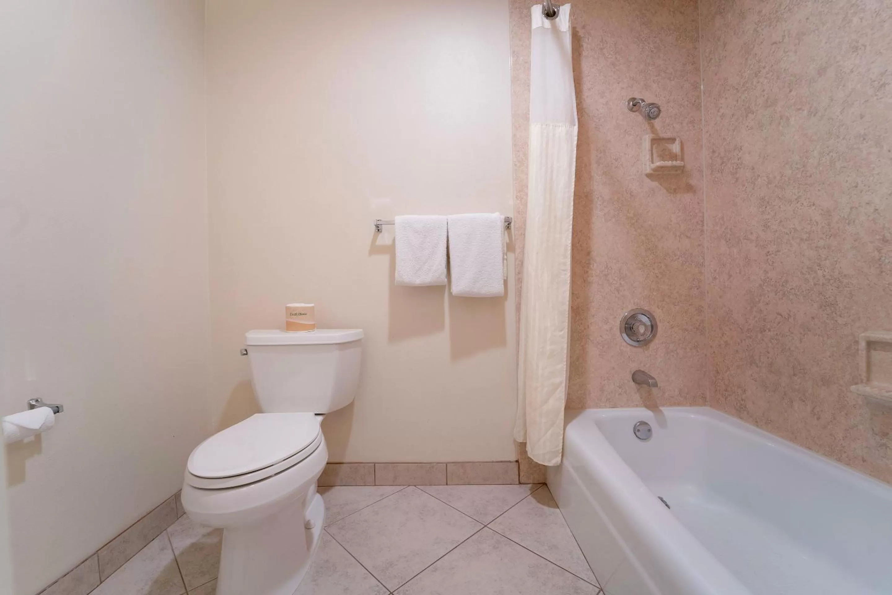 Bathroom in Royal Plaza Inn