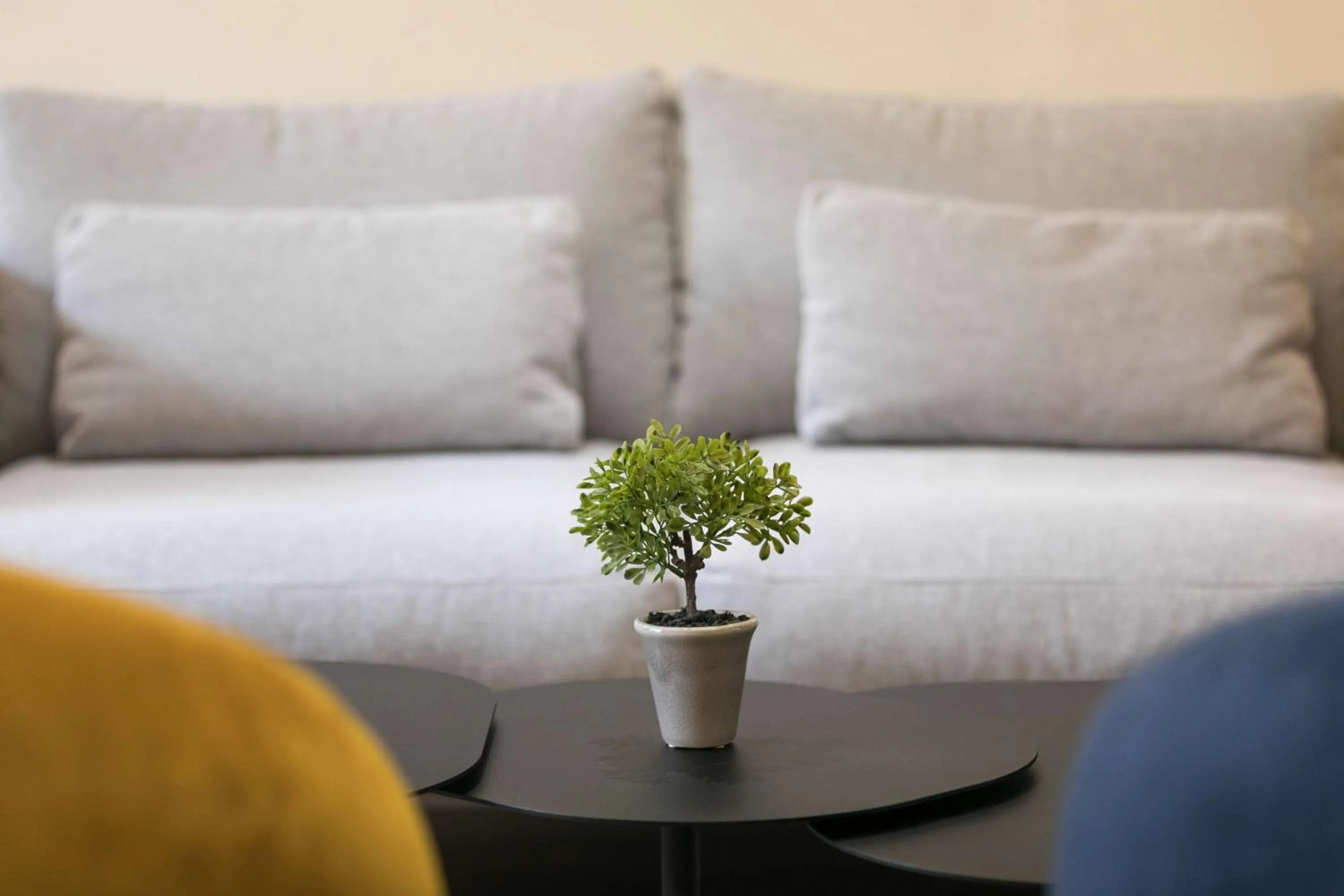 Lobby or reception in Hôtel Innes by HappyCulture