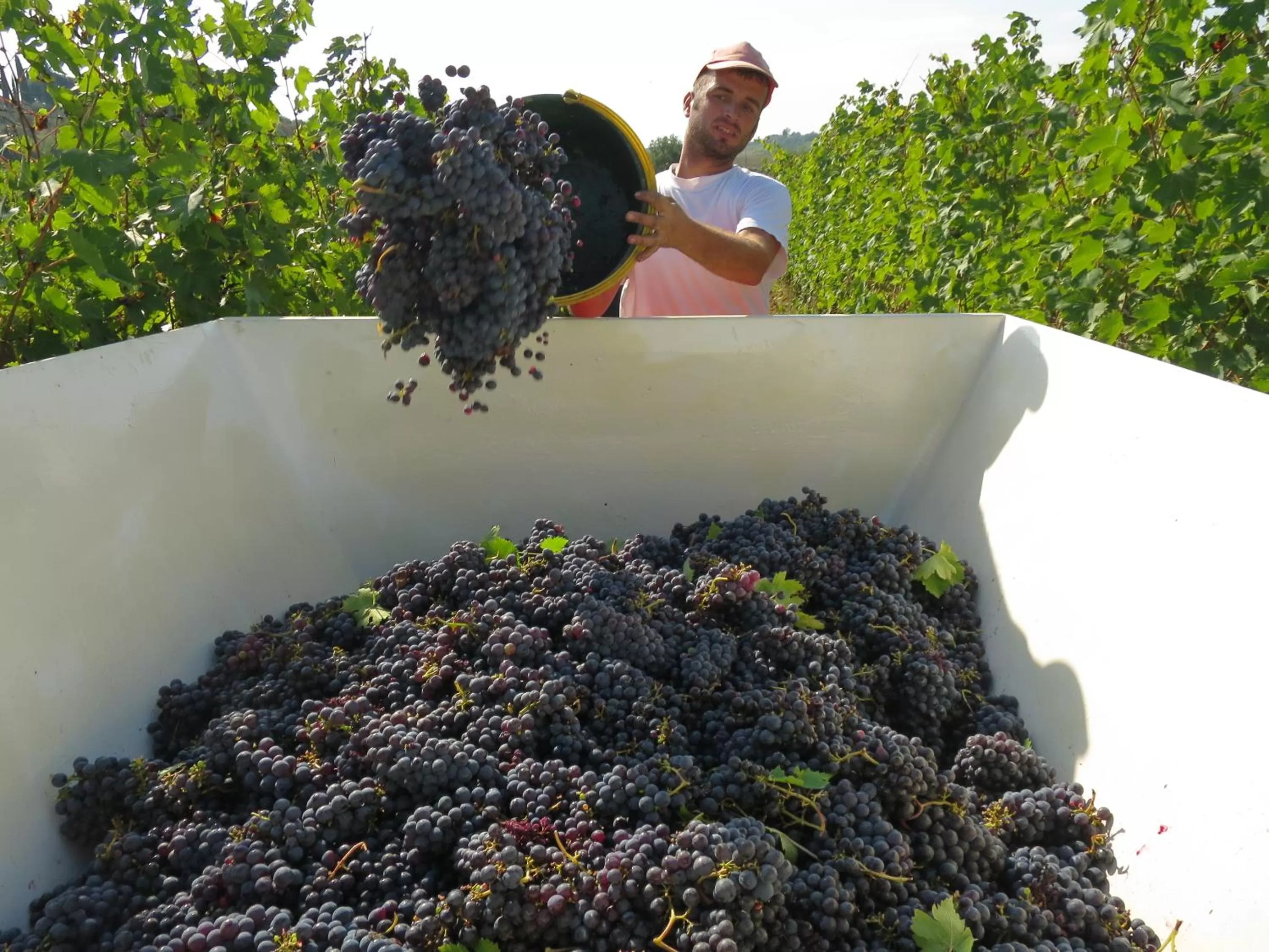 Activities in Borgo La Torre alle Tolfe