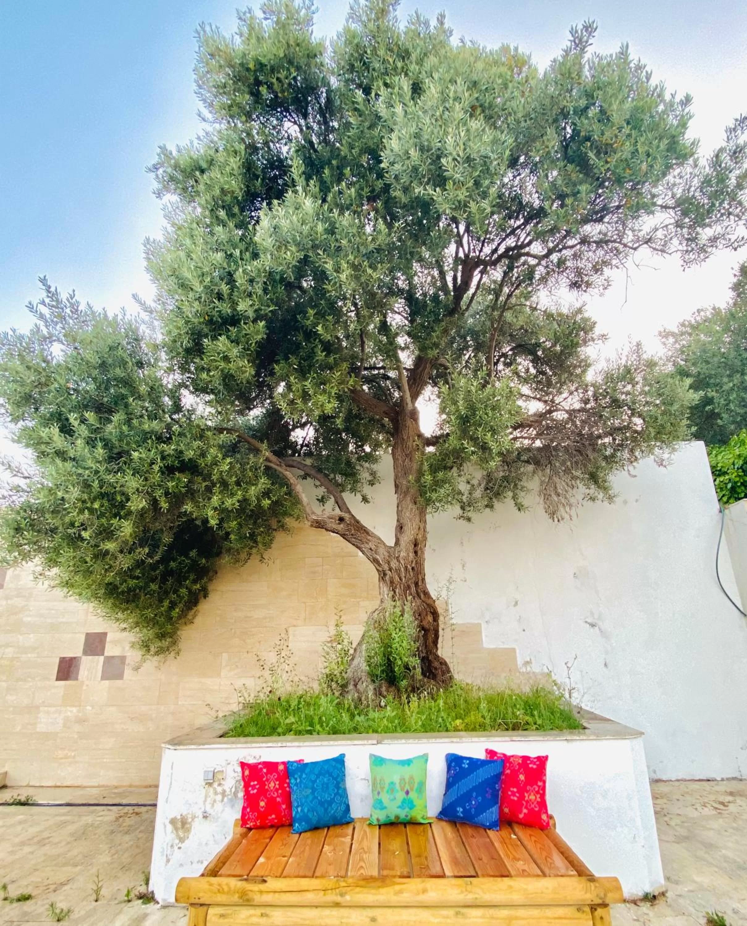 Garden in Alaçatı Barbarossa Hotel