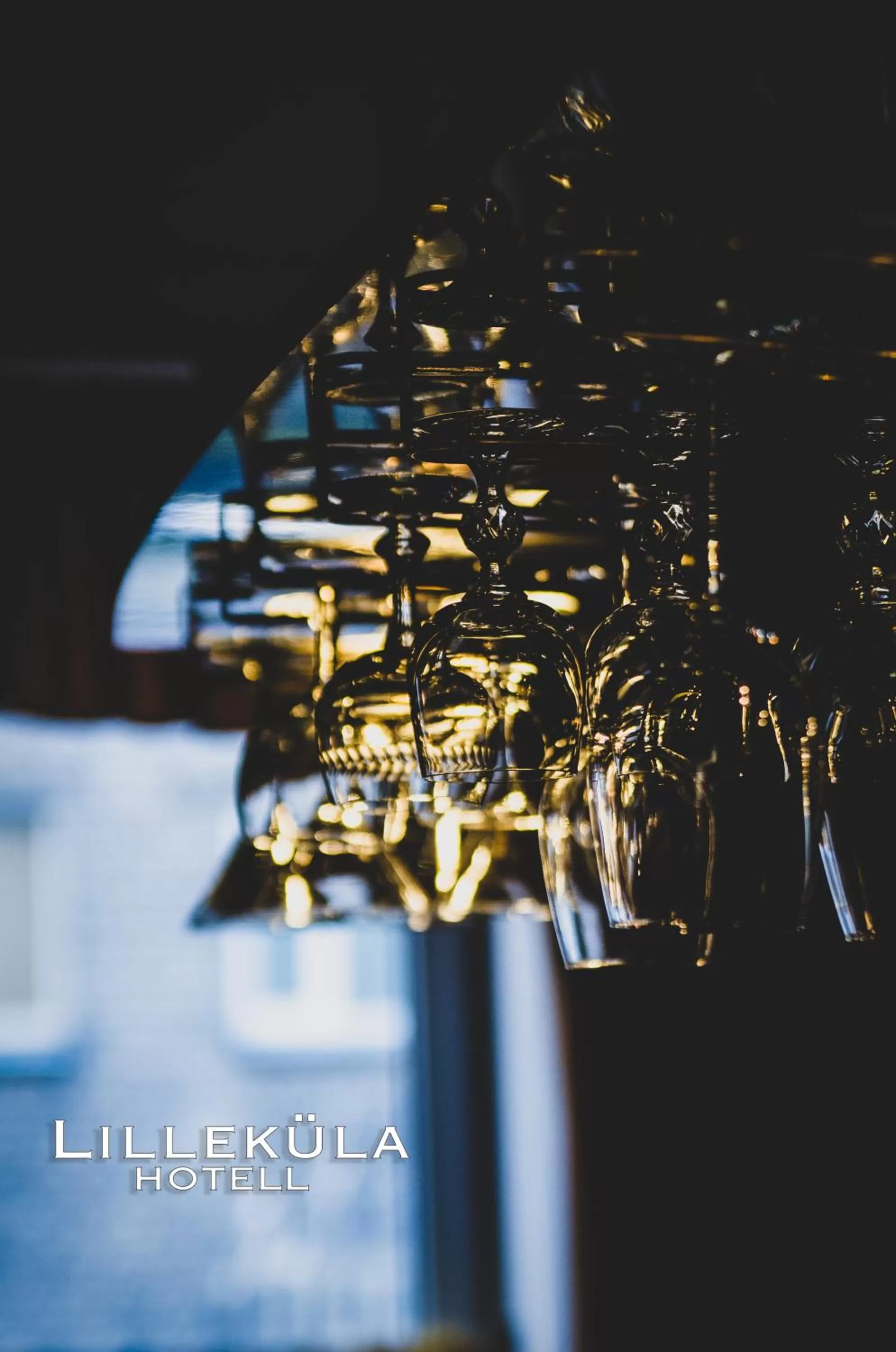 Restaurant/places to eat in Lilleküla Hotel