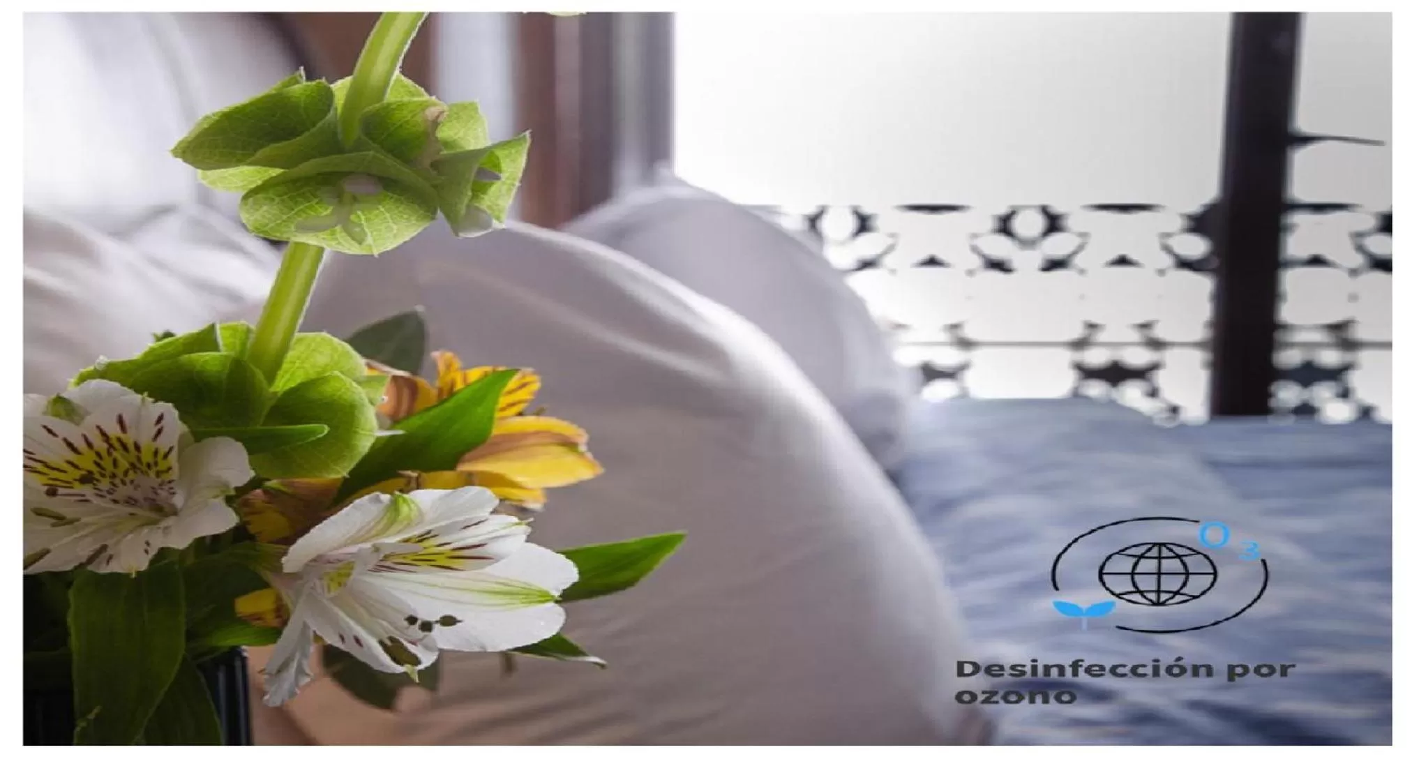 Bed in Casa Aspeytia Hotel Boutique