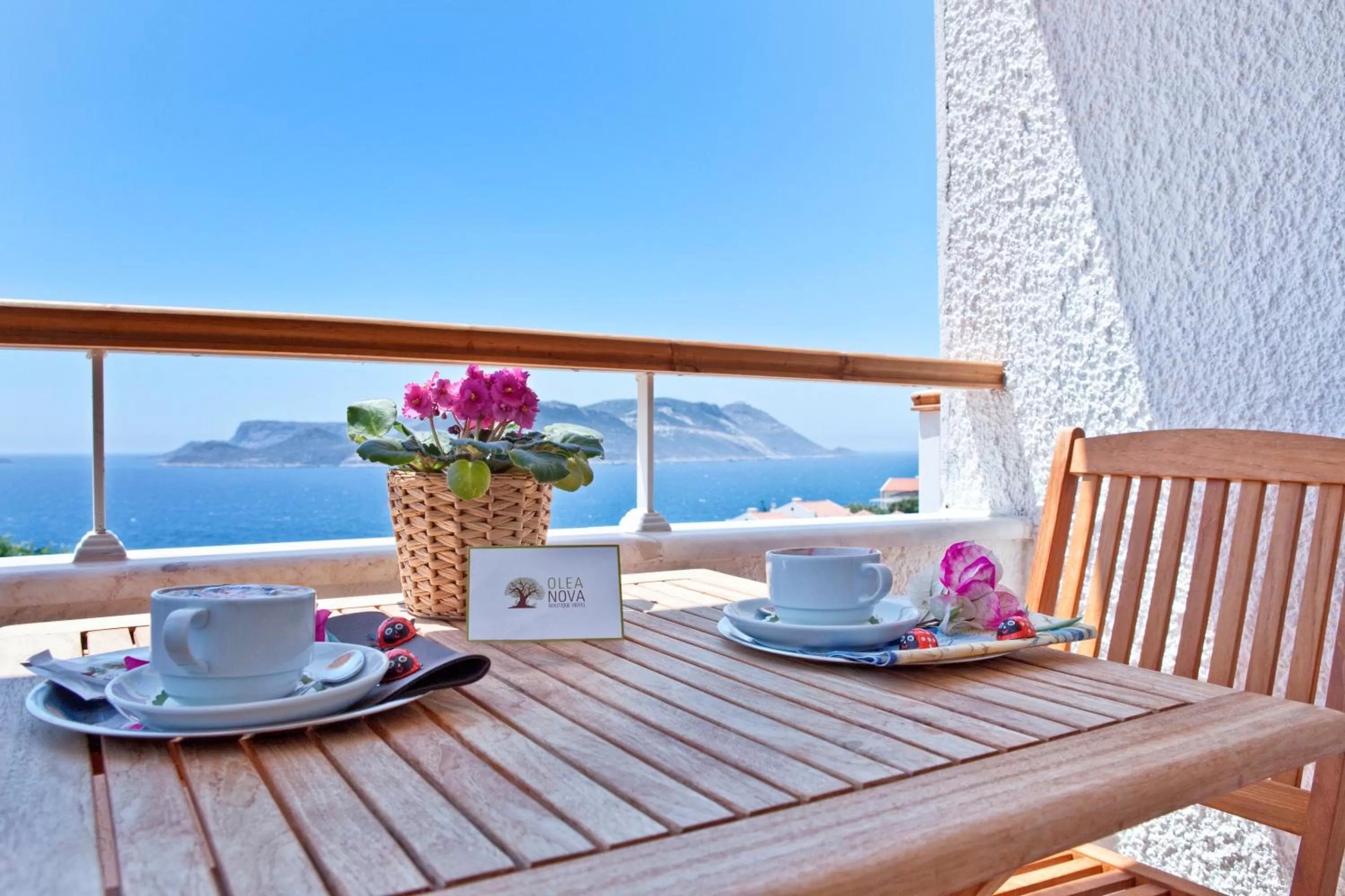 View (from property/room) in Olea Nova Hotel