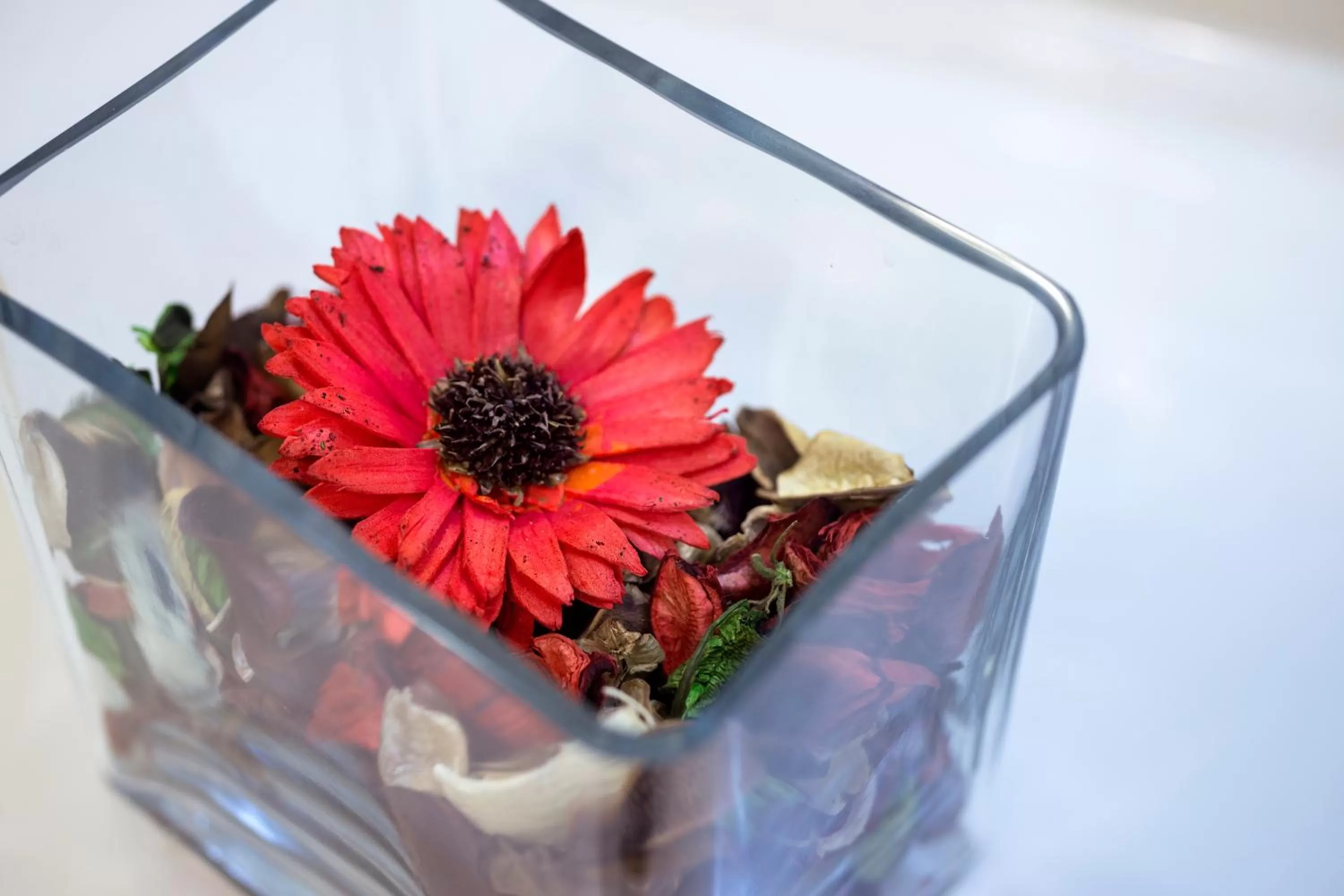 Decorative detail in Lancaster Hotel