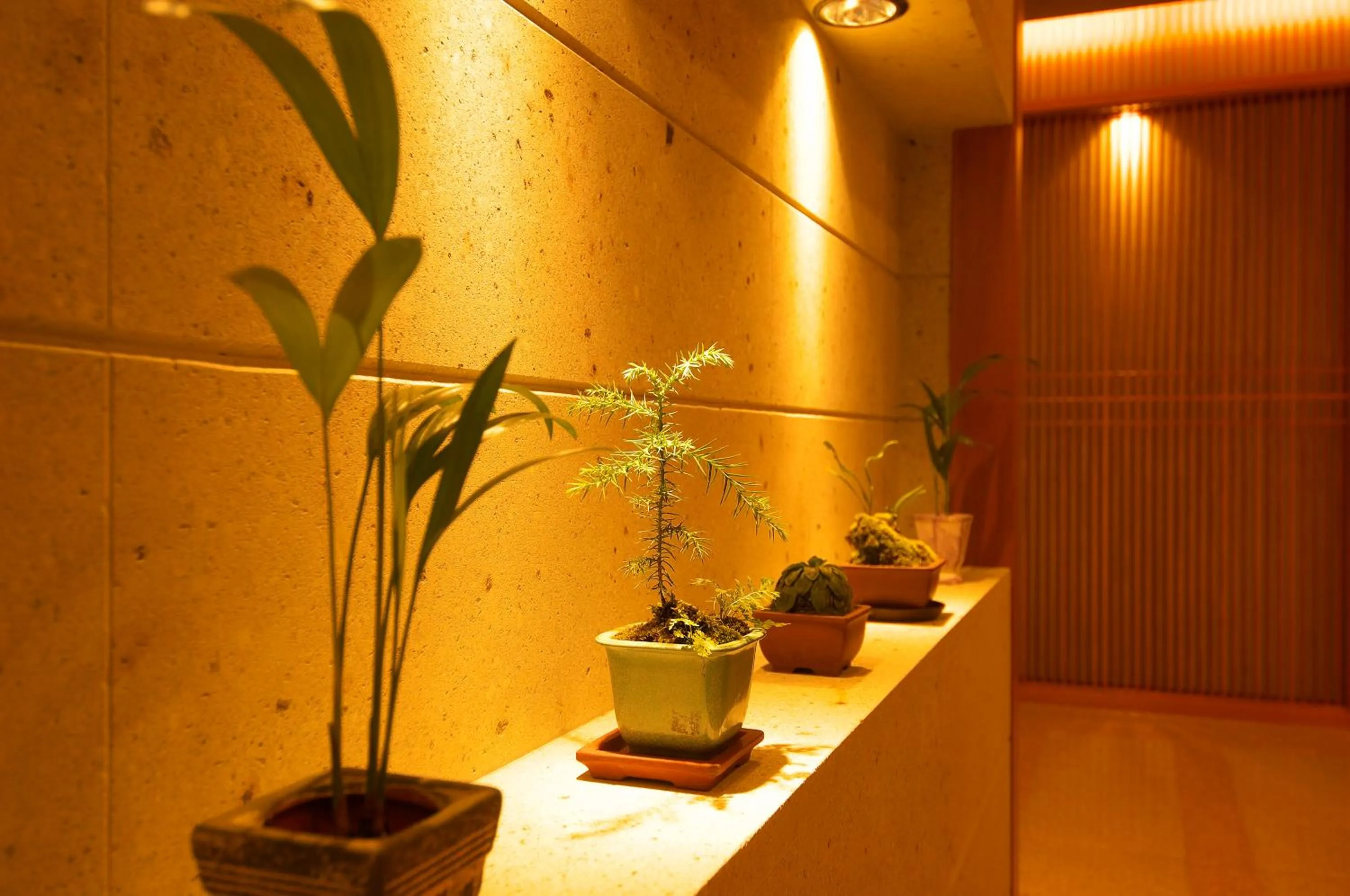 Other in Arima Onsen Taketoritei Maruyama