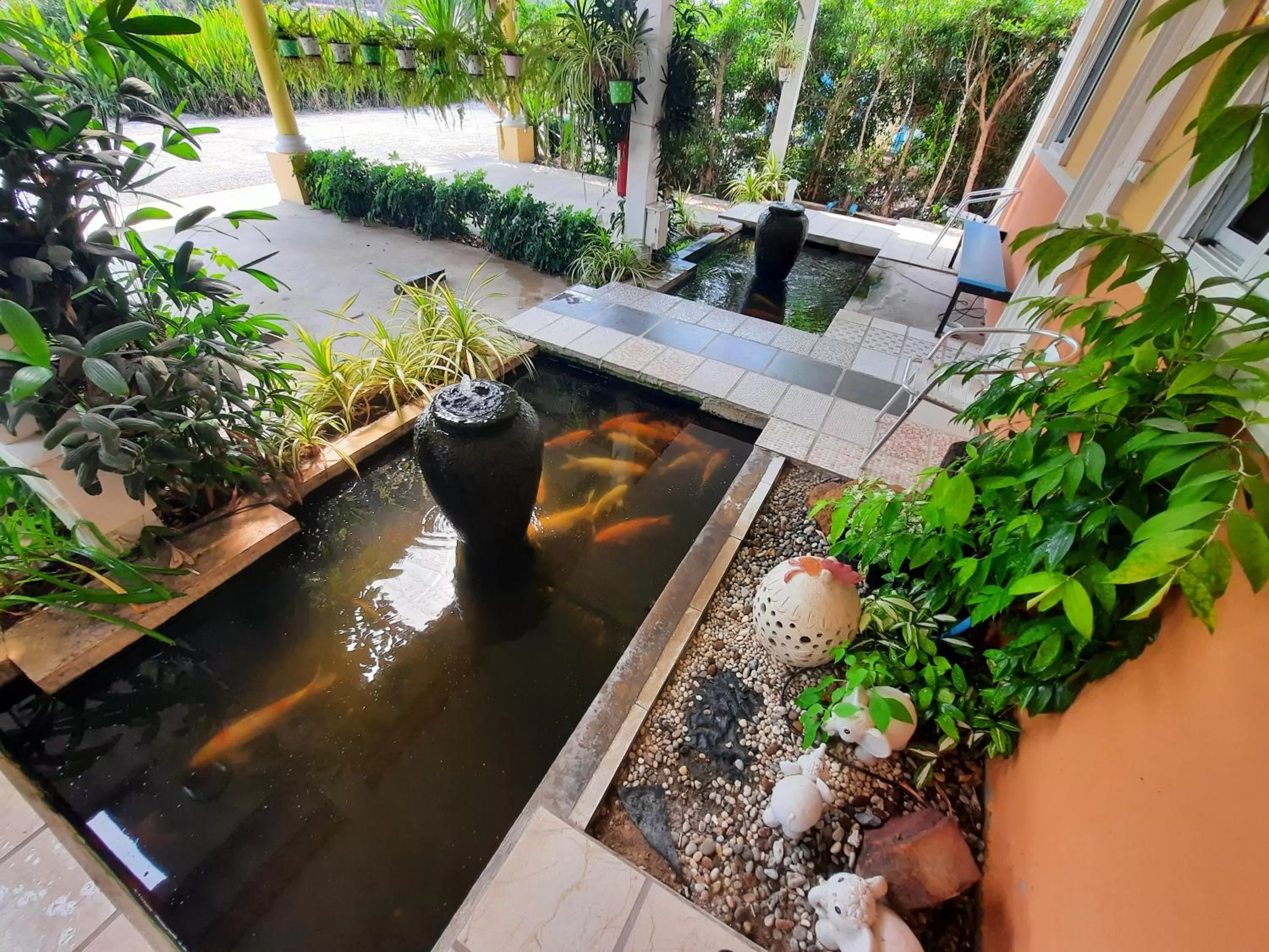 Other Animals in Fancy Carp Resort