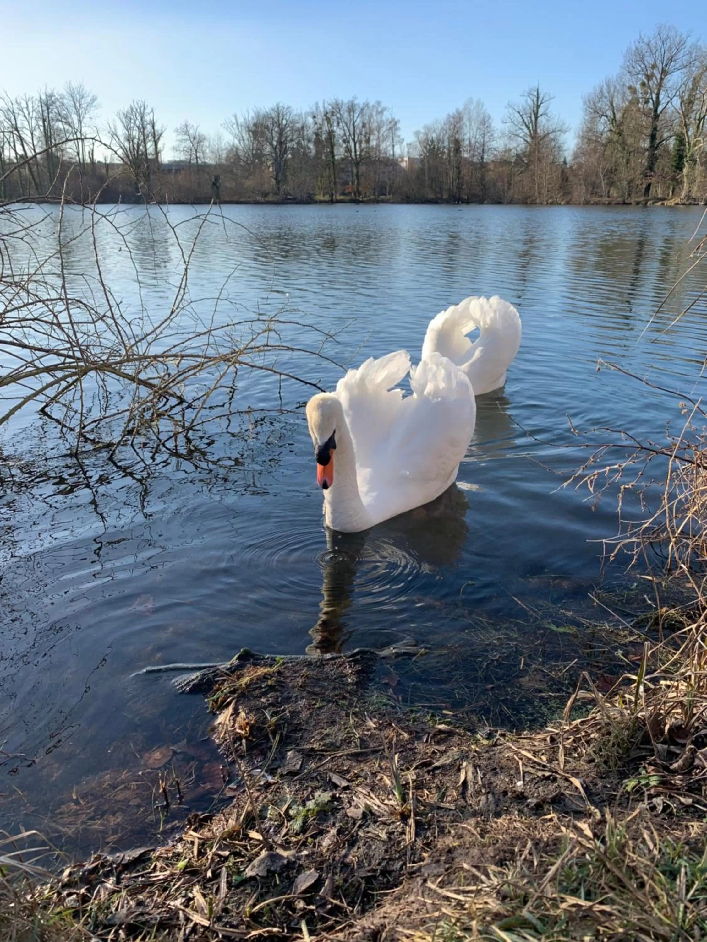 Natural landscape in Hôtel L'ile Du Saussay