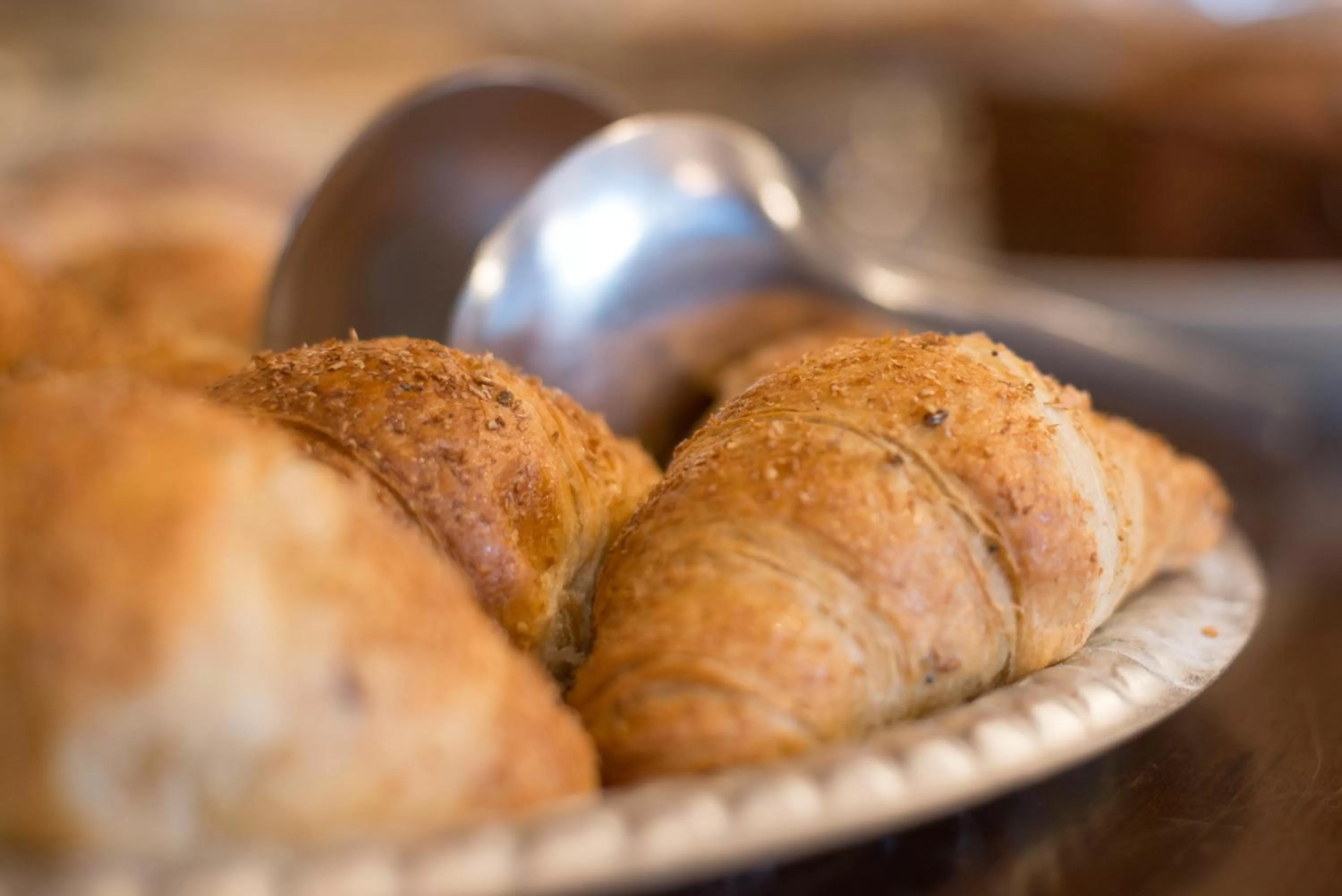 Food and drinks in HG Hotel Italia