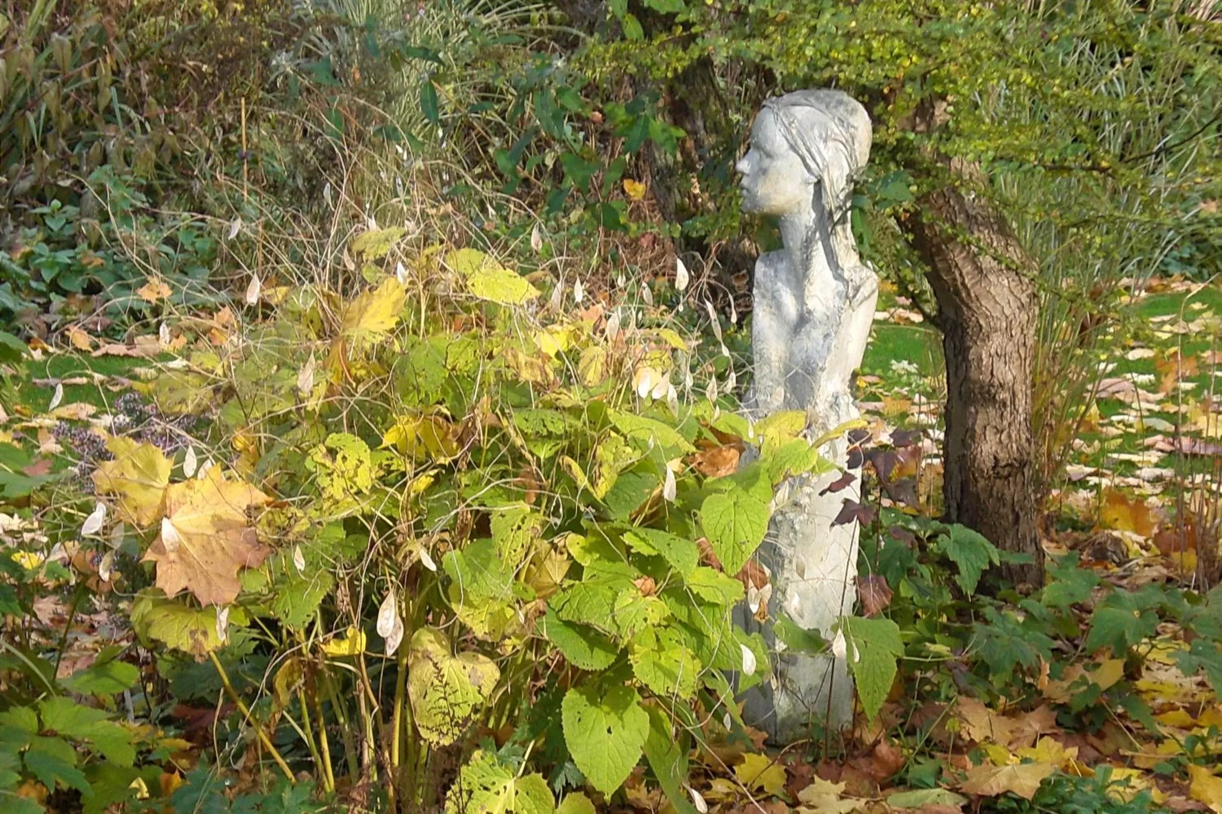 Winter, Other Animals in B&B De Slaperije