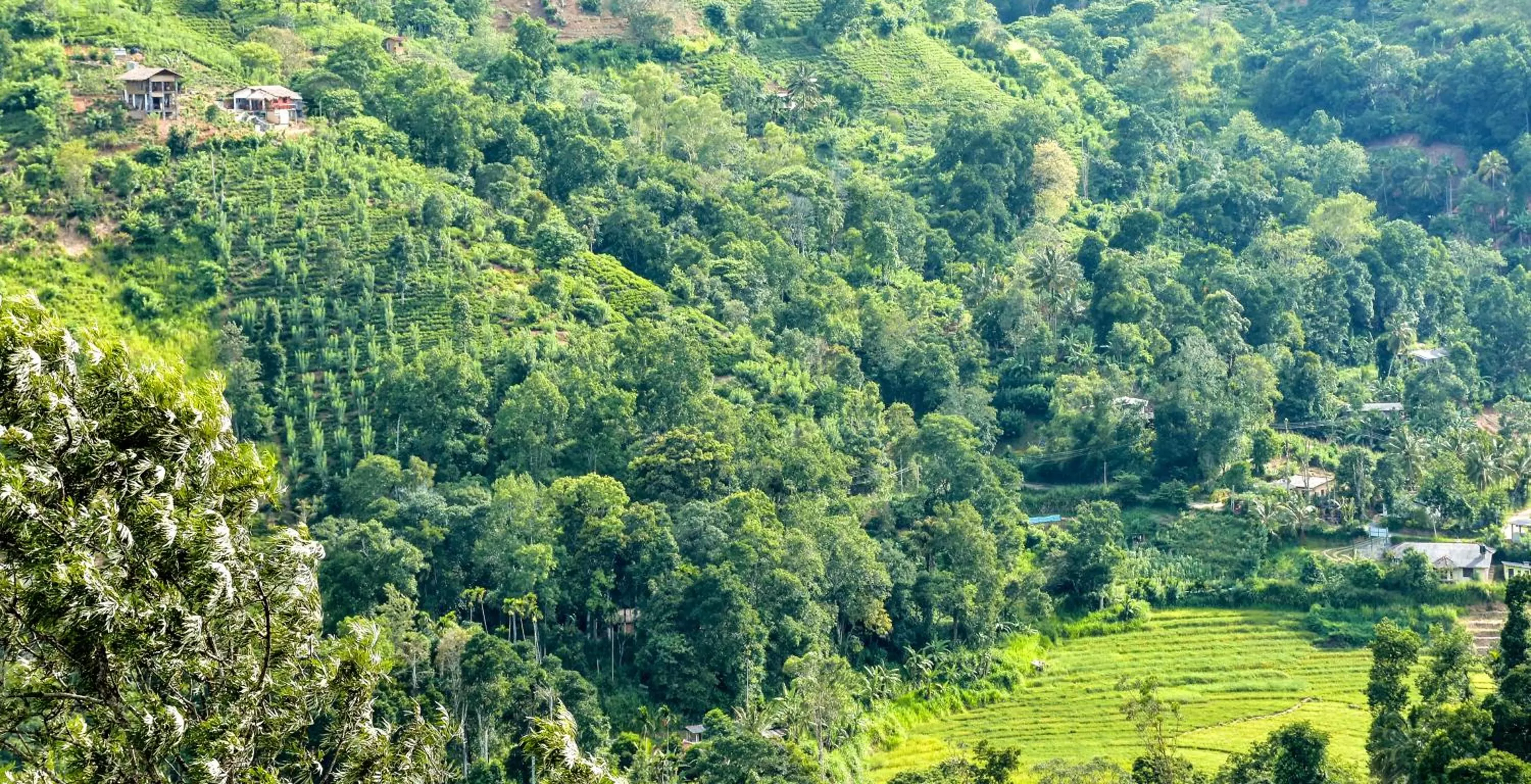 Garden view, Bird's-eye View in Ornateview Hotel